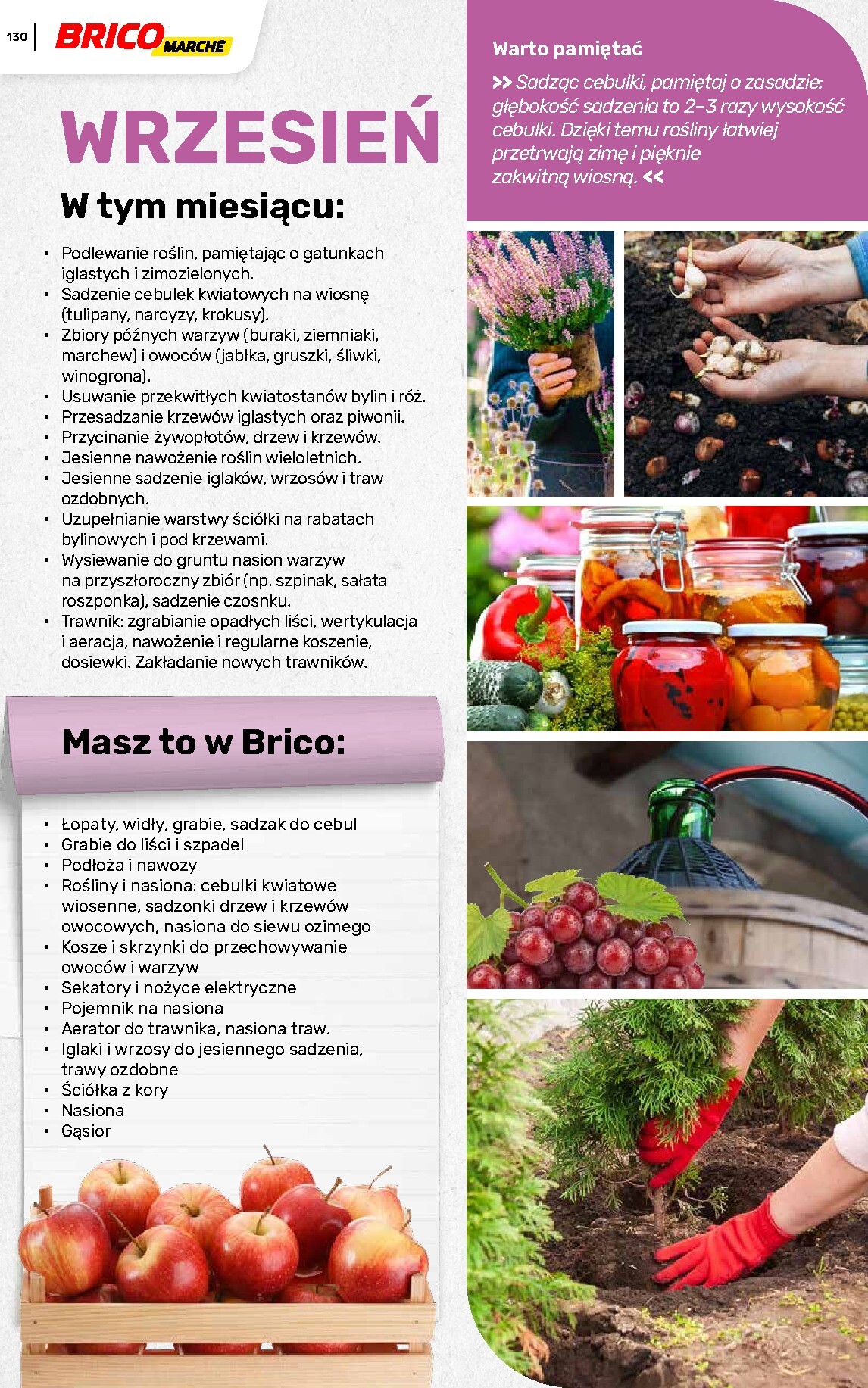 brico-marche - Gazetka Bricomarché - Katalog ogród - ważna od 04.03.2026 do 16.08.2026 - page: 130