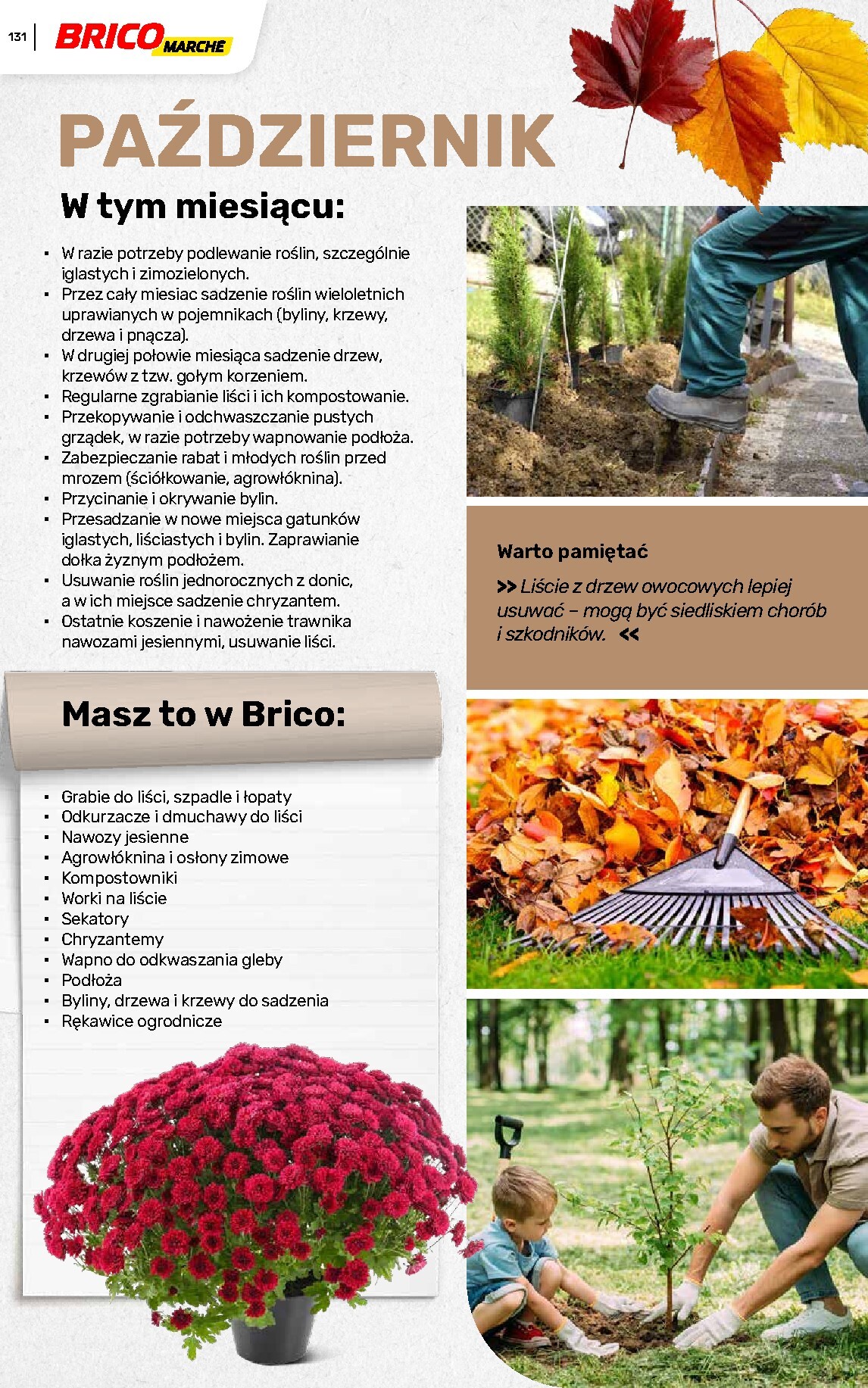 brico-marche - Gazetka Bricomarché - Katalog ogród - ważna od 04.03.2026 do 16.08.2026 - page: 131