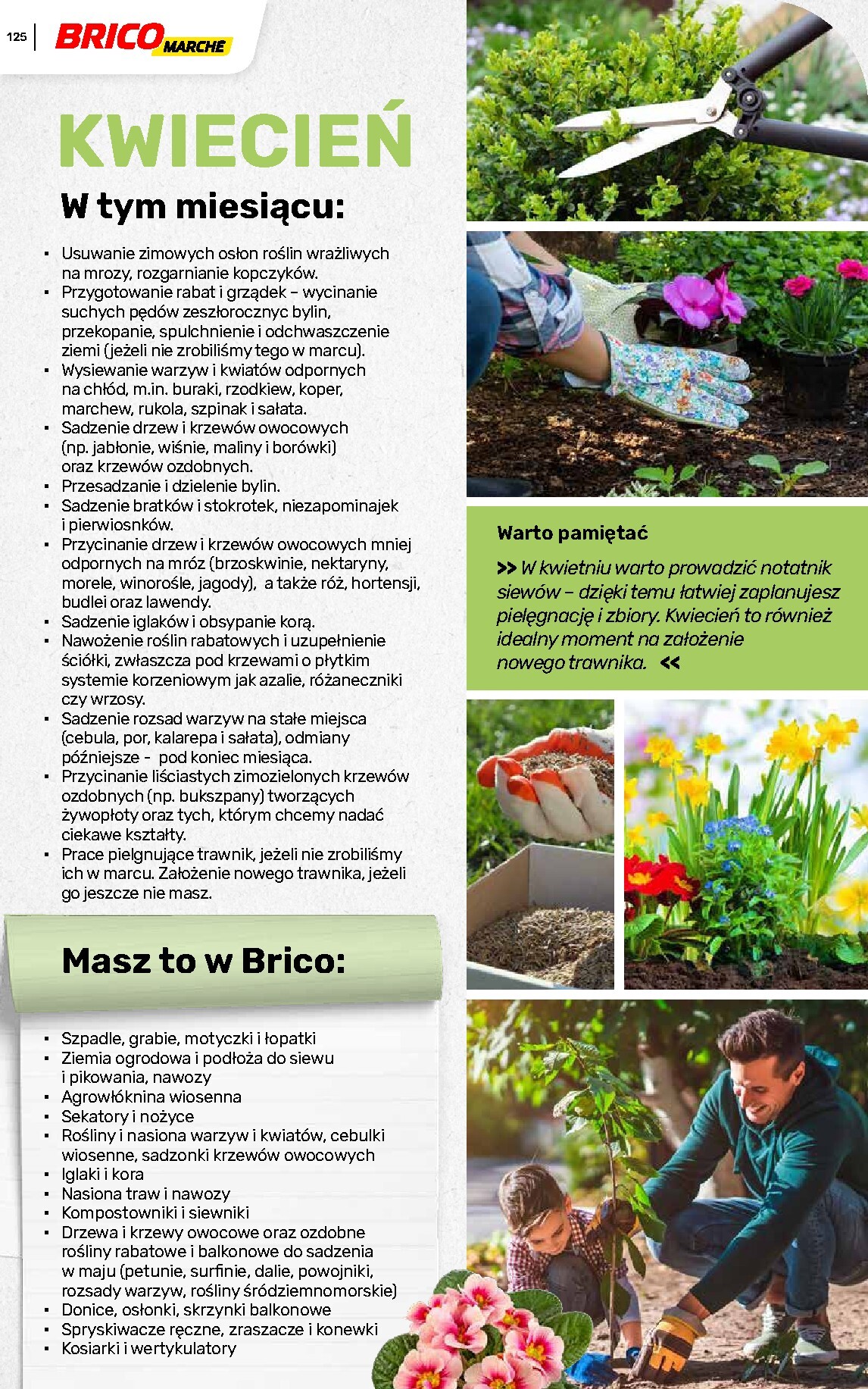 brico-marche - Gazetka Bricomarché - Katalog ogród - ważna od 04.03.2026 do 16.08.2026 - page: 125