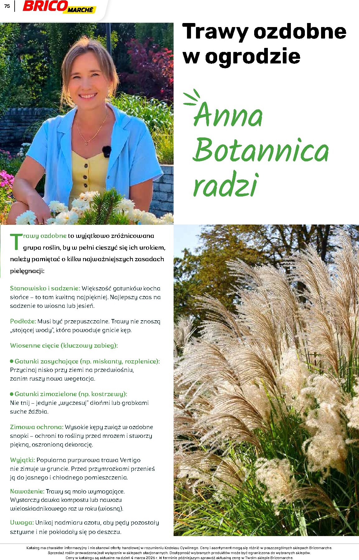 brico-marche - Gazetka Bricomarché - Katalog ogród - ważna od 04.03.2026 do 16.08.2026 - page: 75