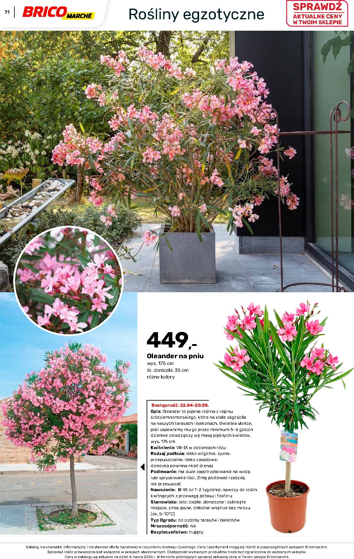 brico-marche - Gazetka Bricomarché - Katalog ogród - ważna od 04.03.2026 do 16.08.2026 - page: 71
