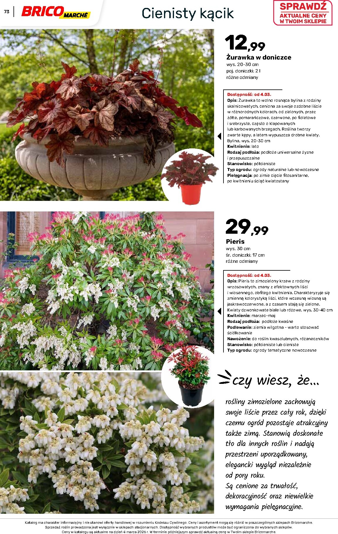 brico-marche - Gazetka Bricomarché - Katalog ogród - ważna od 04.03.2026 do 16.08.2026 - page: 73