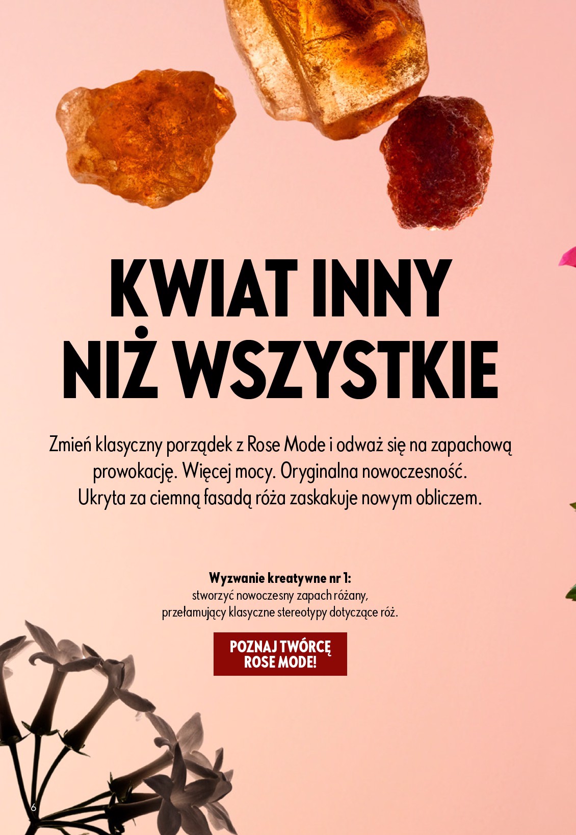 oriflame - Aktualna gazetka Oriflame ważna od 15.04.2026 do 05.05.2026 - page: 6