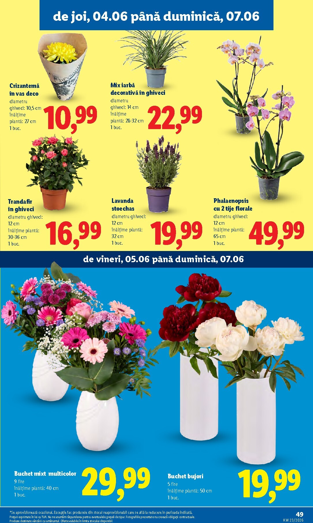 lidl - Brosura Lidl valabilă de la luni 01.06.2026 până la duminică 07.06.2026 - page: 51
