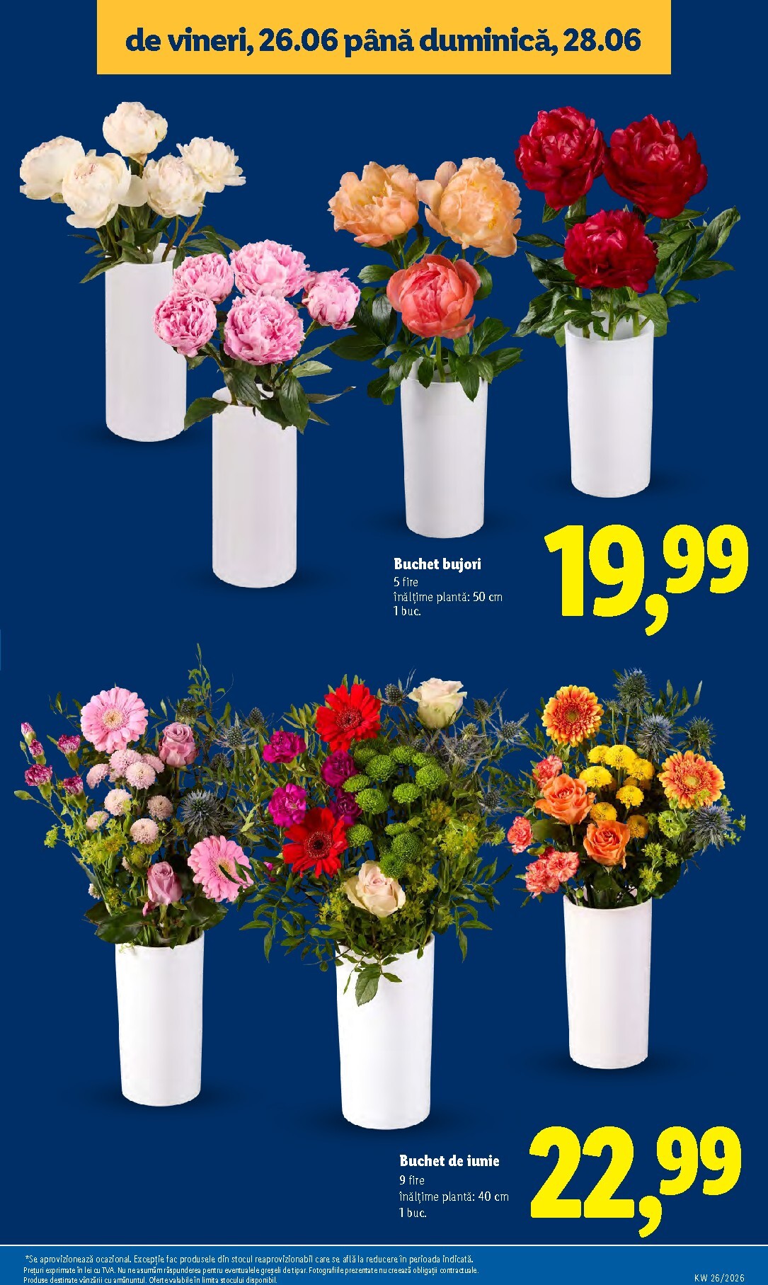 lidl - Brosura Lidl valabilă de la luni 22.06.2026 până la duminică 28.06.2026 - page: 55