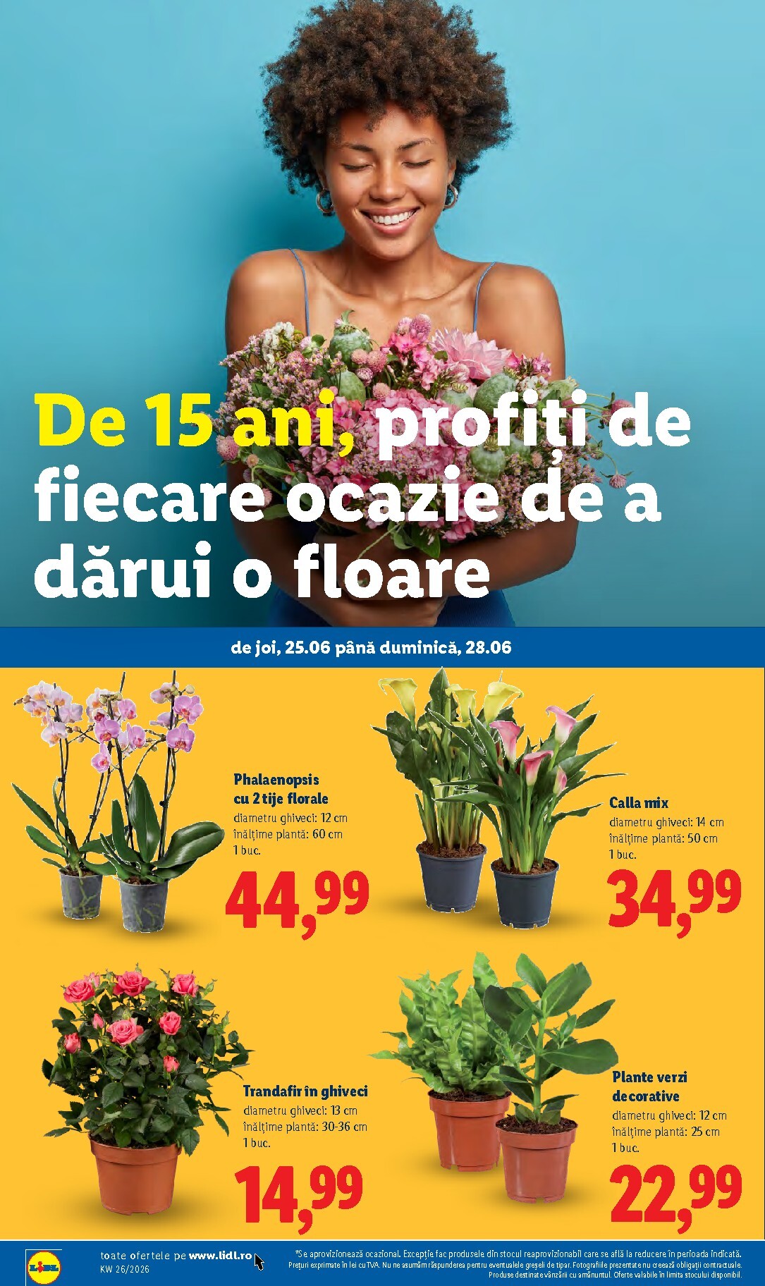 lidl - Brosura Lidl valabilă de la luni 22.06.2026 până la duminică 28.06.2026 - page: 54
