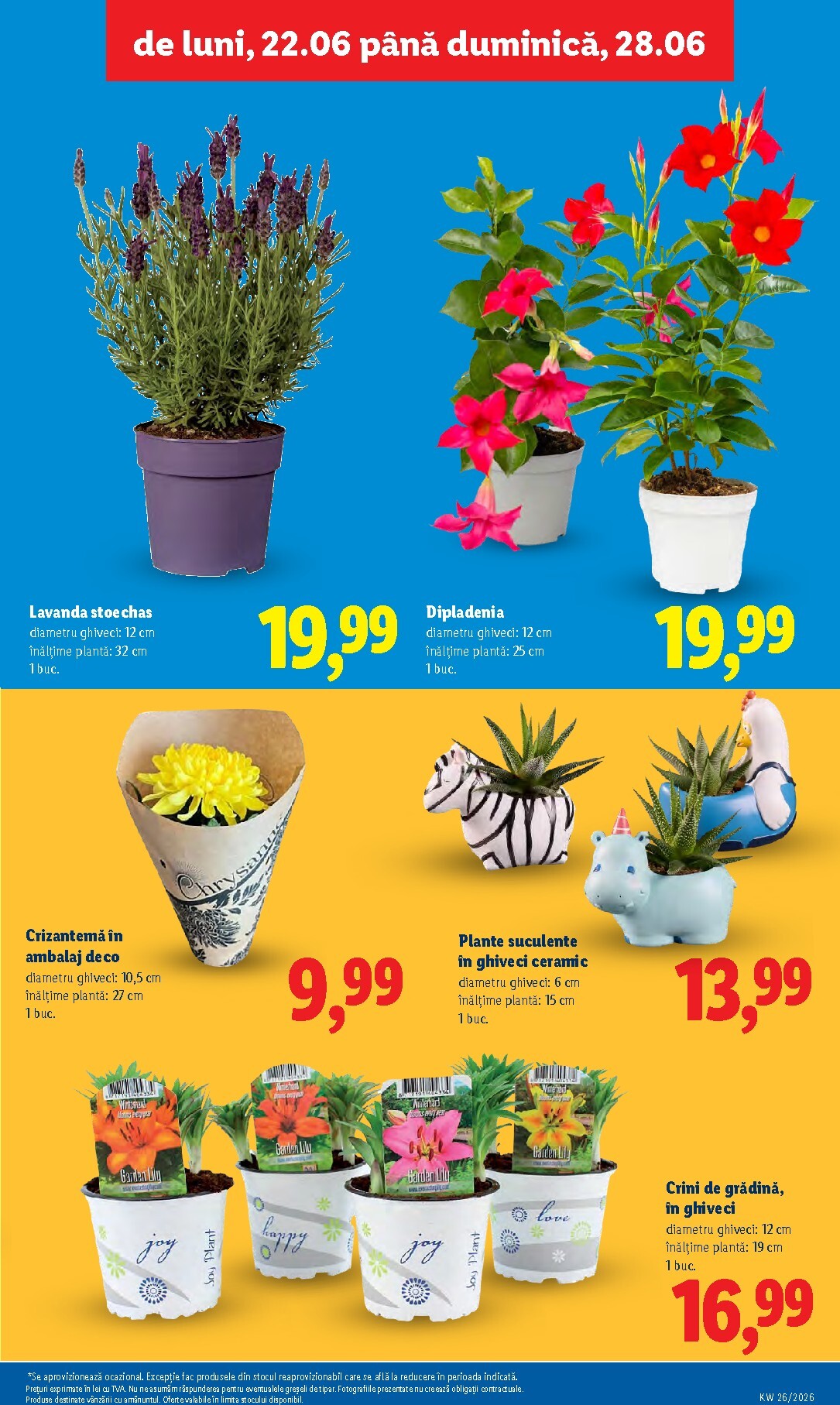 lidl - Brosura Lidl valabilă de la luni 22.06.2026 până la duminică 28.06.2026 - page: 53