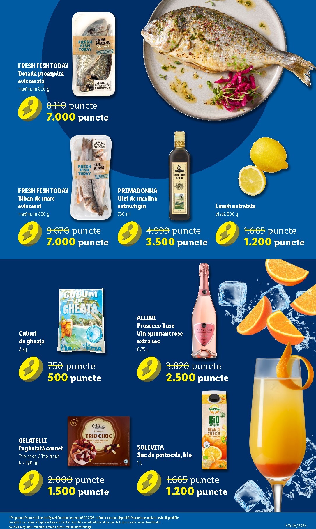 lidl - Brosura Lidl valabilă de la luni 22.06.2026 până la duminică 28.06.2026 - page: 51