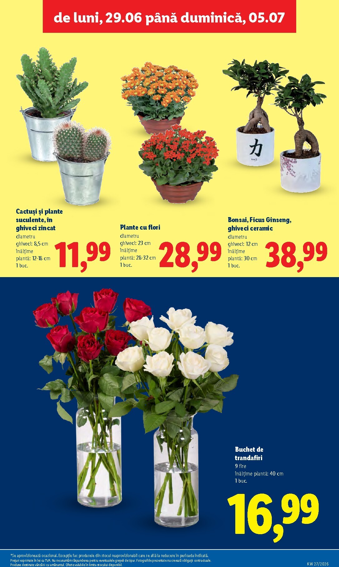 lidl - Brosura Lidl valabilă de la luni 29.06.2026 până la duminică 05.07.2026 - page: 57