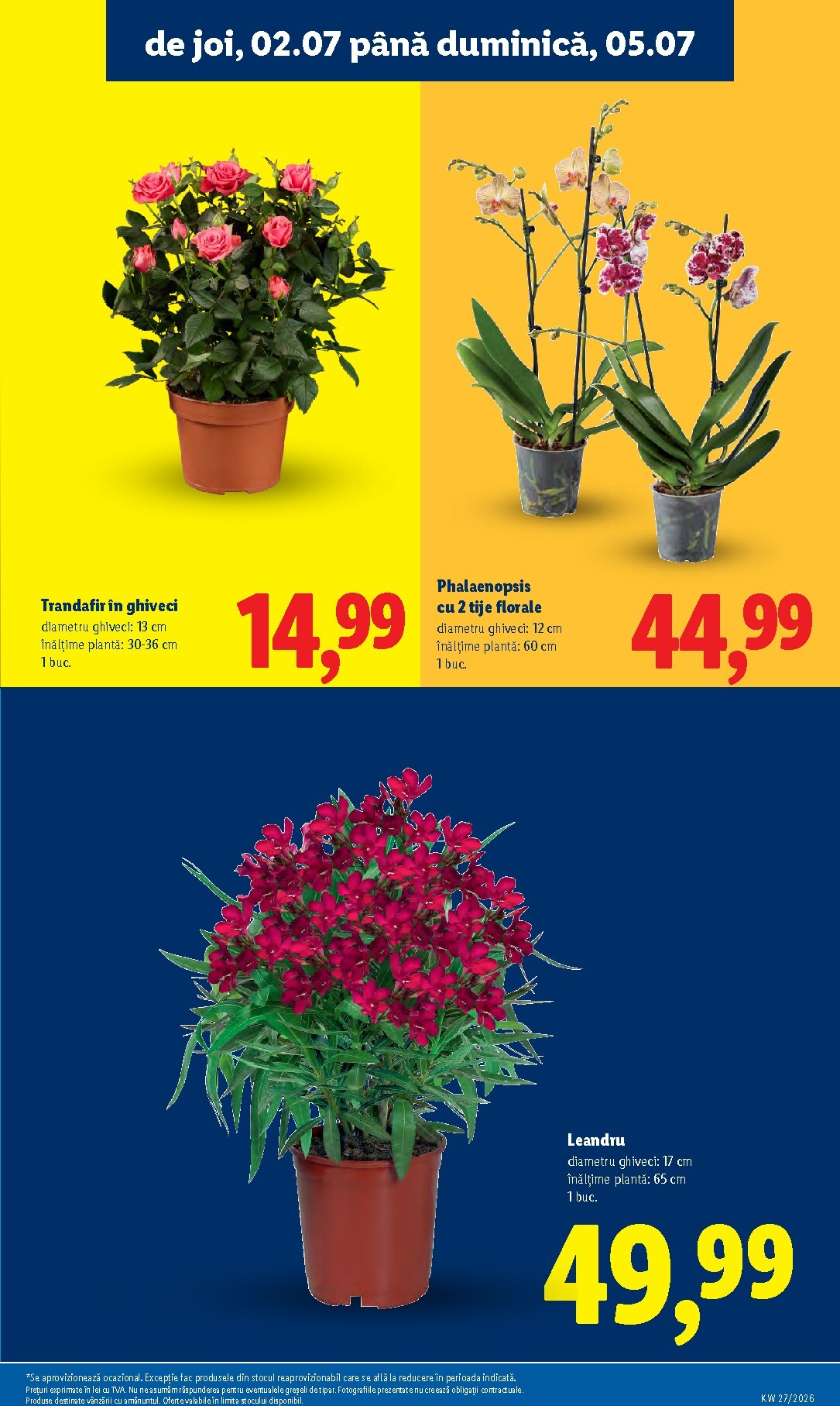 lidl - Brosura Lidl valabilă de la luni 29.06.2026 până la duminică 05.07.2026 - page: 59