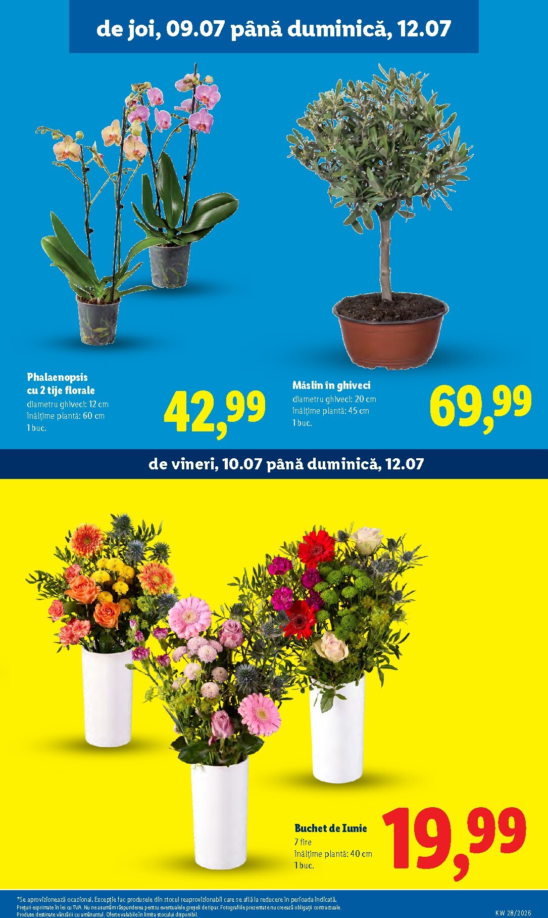 lidl - Lidl pliante pentru săptămâna viitoare de la luni 06.07.2026 până la duminică 12.07.2026 - page: 55