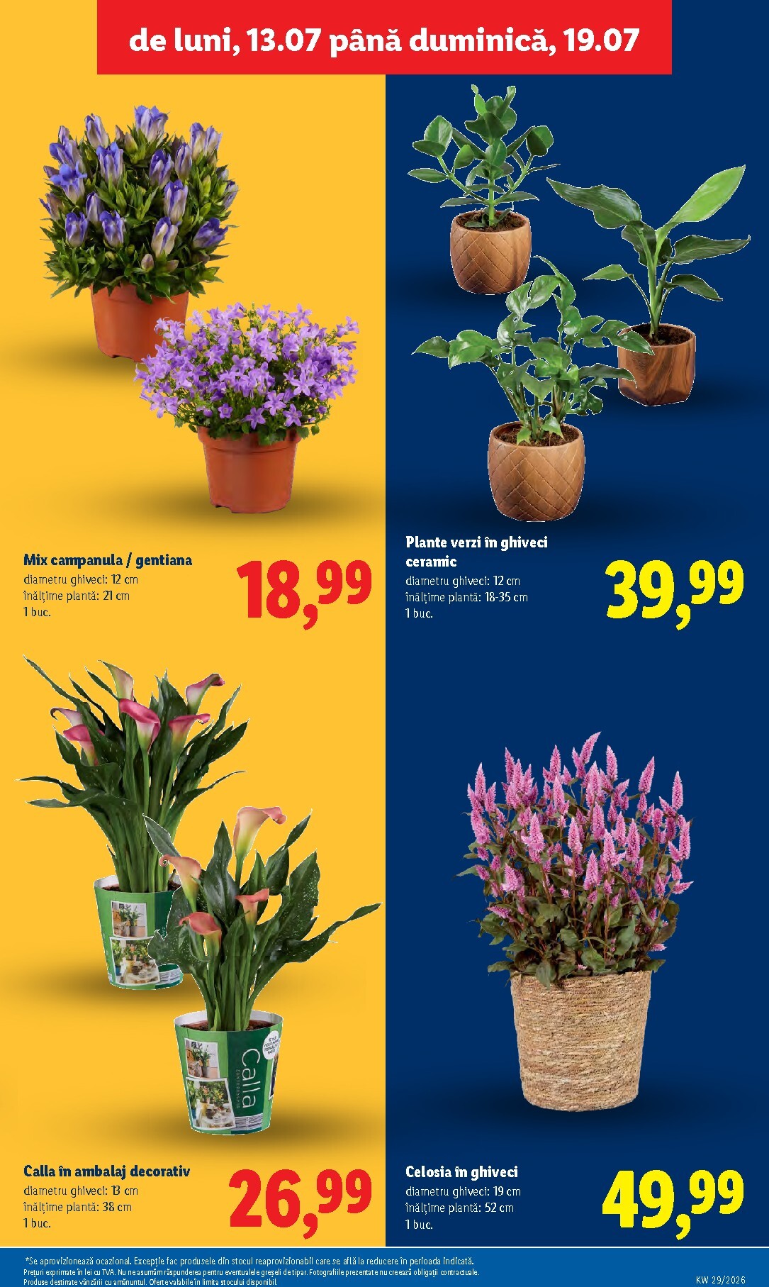 lidl - Lidl pliante pentru săptămâna viitoare de la luni 13.07.2026 până la duminică 19.07.2026 - page: 59