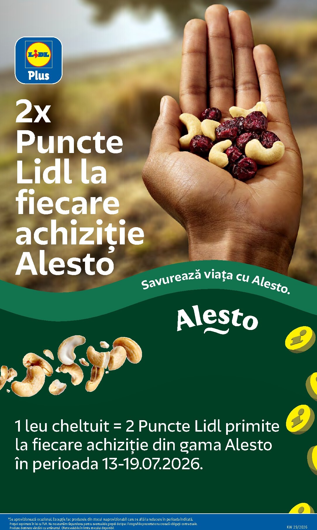 lidl - Lidl pliante pentru săptămâna viitoare de la luni 13.07.2026 până la duminică 19.07.2026 - page: 51