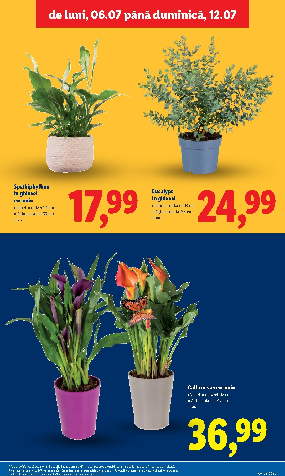 lidl - Brosura Lidl valabilă de la luni 06.07.2026 până la duminică 12.07.2026 - page: 53