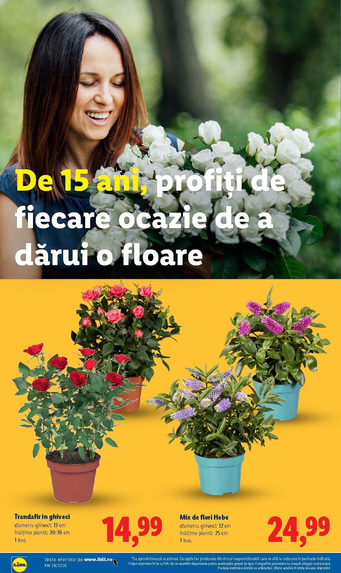 lidl - Brosura Lidl valabilă de la luni 06.07.2026 până la duminică 12.07.2026 - page: 54