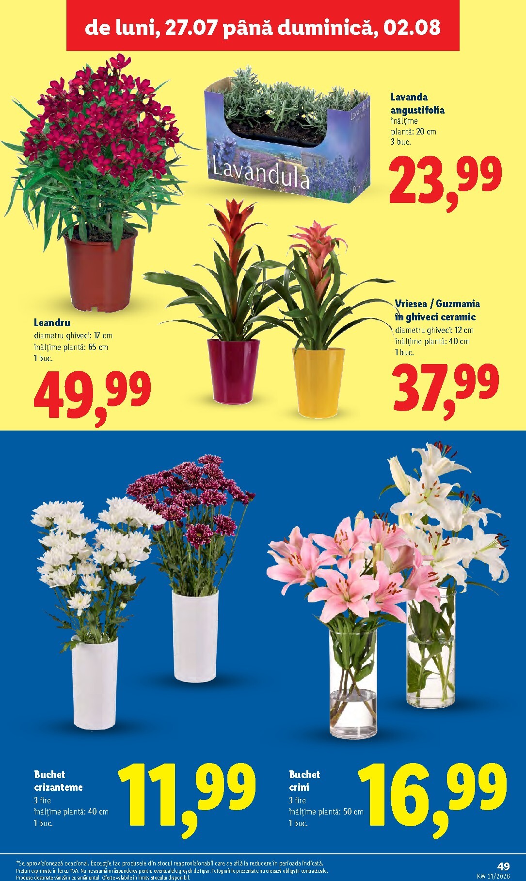 lidl - Lidl pliante pentru săptămâna viitoare de la luni 27.07.2026 până la duminică 02.08.2026 - page: 49