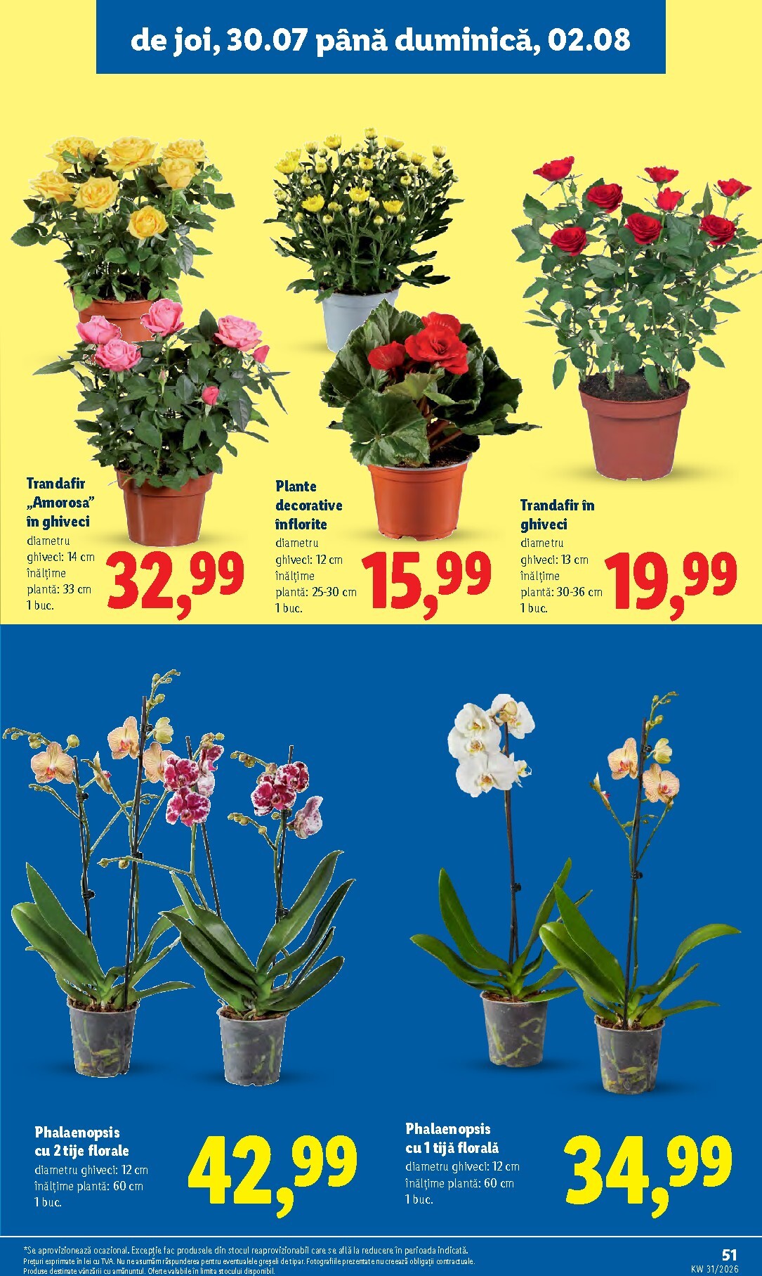lidl - Lidl pliante pentru săptămâna viitoare de la luni 27.07.2026 până la duminică 02.08.2026 - page: 51