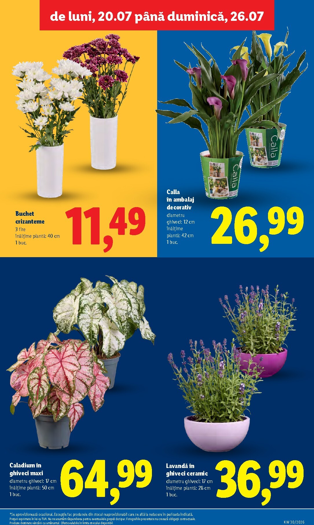 lidl - Brosura Lidl valabilă de la luni 20.07.2026 până la duminică 26.07.2026 - page: 53