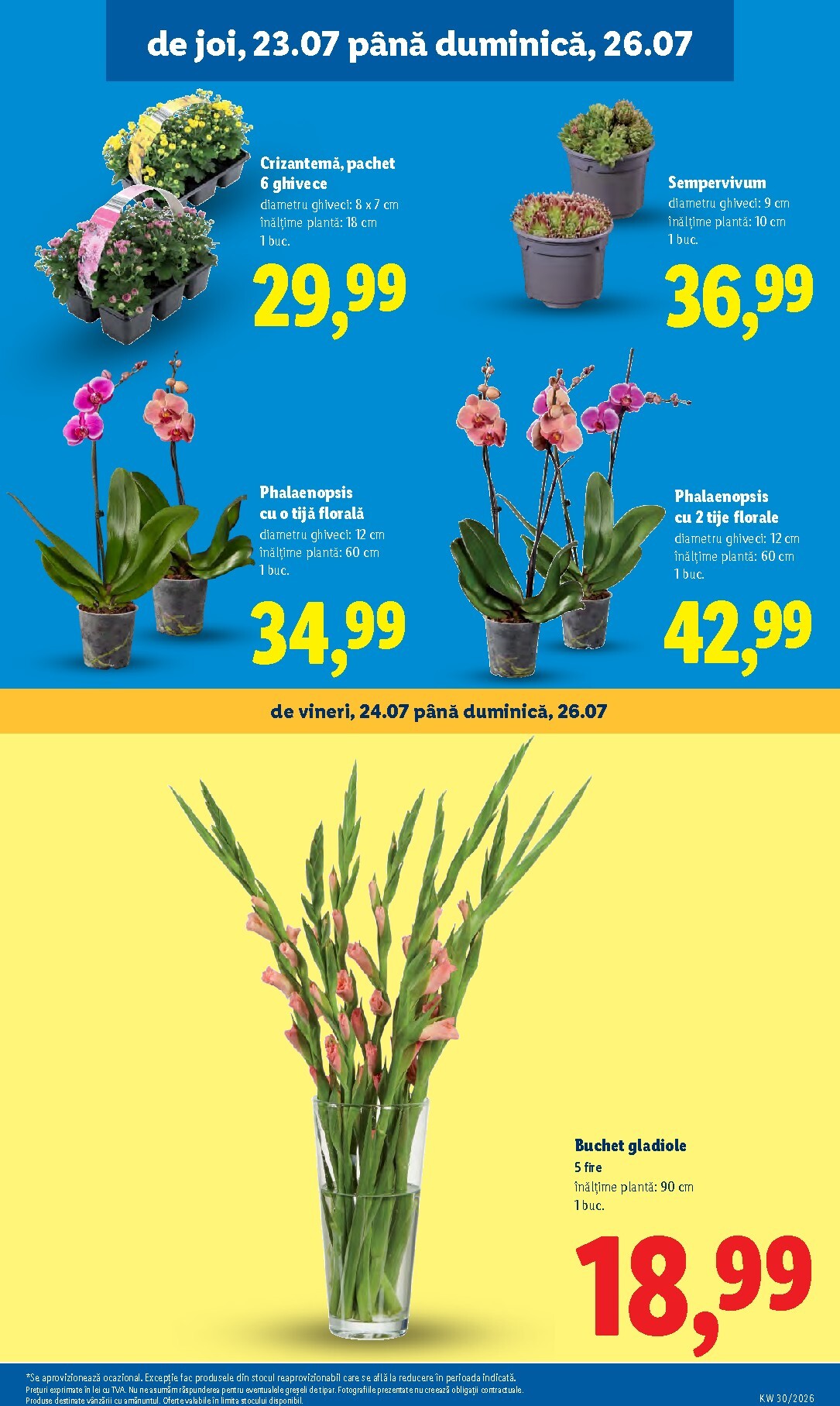 lidl - Brosura Lidl valabilă de la luni 20.07.2026 până la duminică 26.07.2026 - page: 55