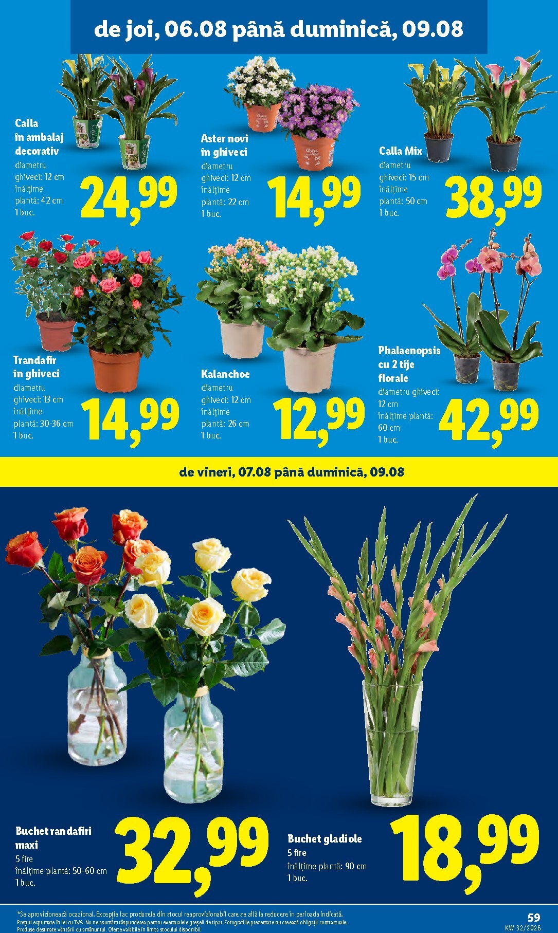 lidl - Lidl pliante pentru săptămâna viitoare de la luni 03.08.2026 până la duminică 09.08.2026 - page: 59