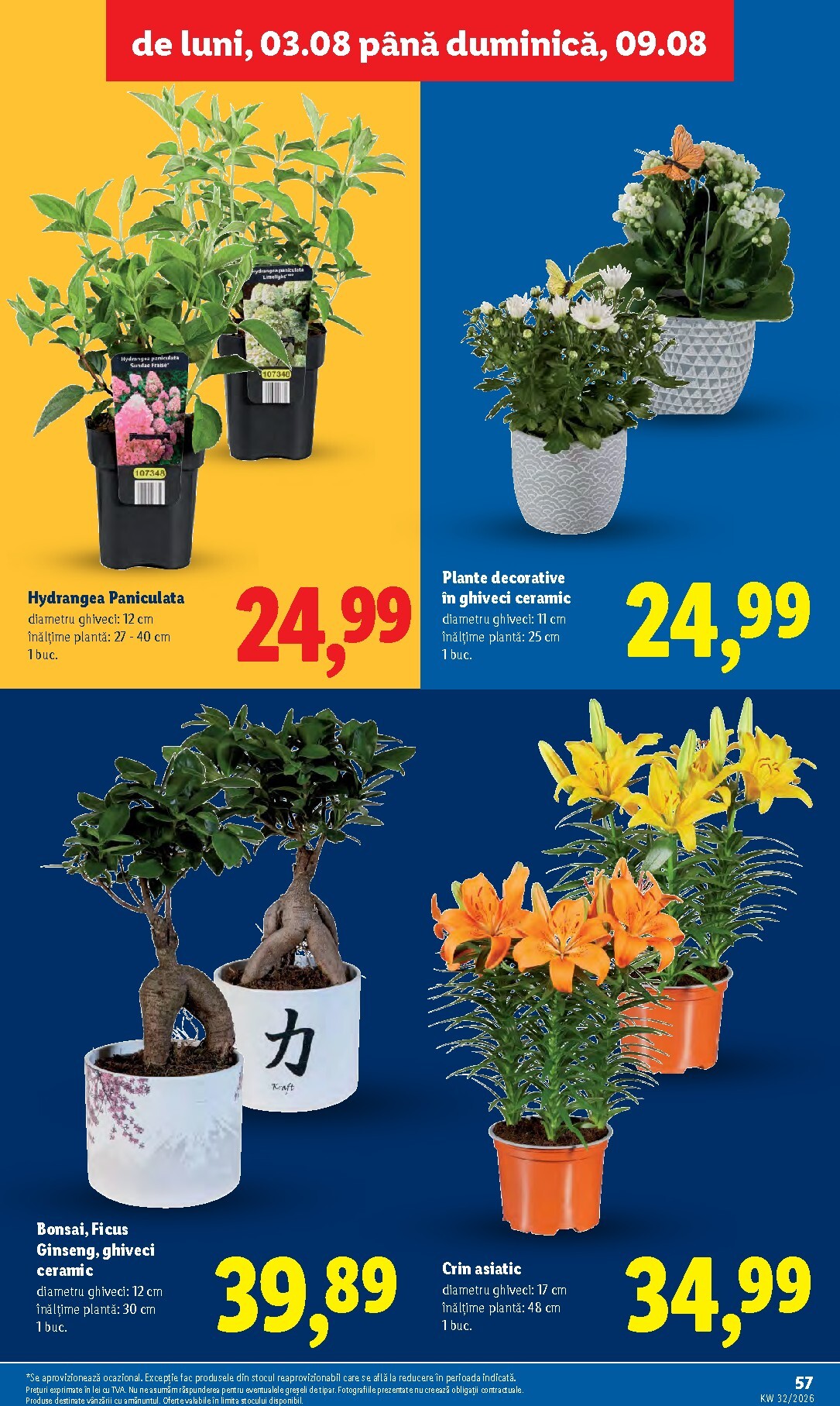 lidl - Lidl pliante pentru săptămâna viitoare de la luni 03.08.2026 până la duminică 09.08.2026 - page: 57