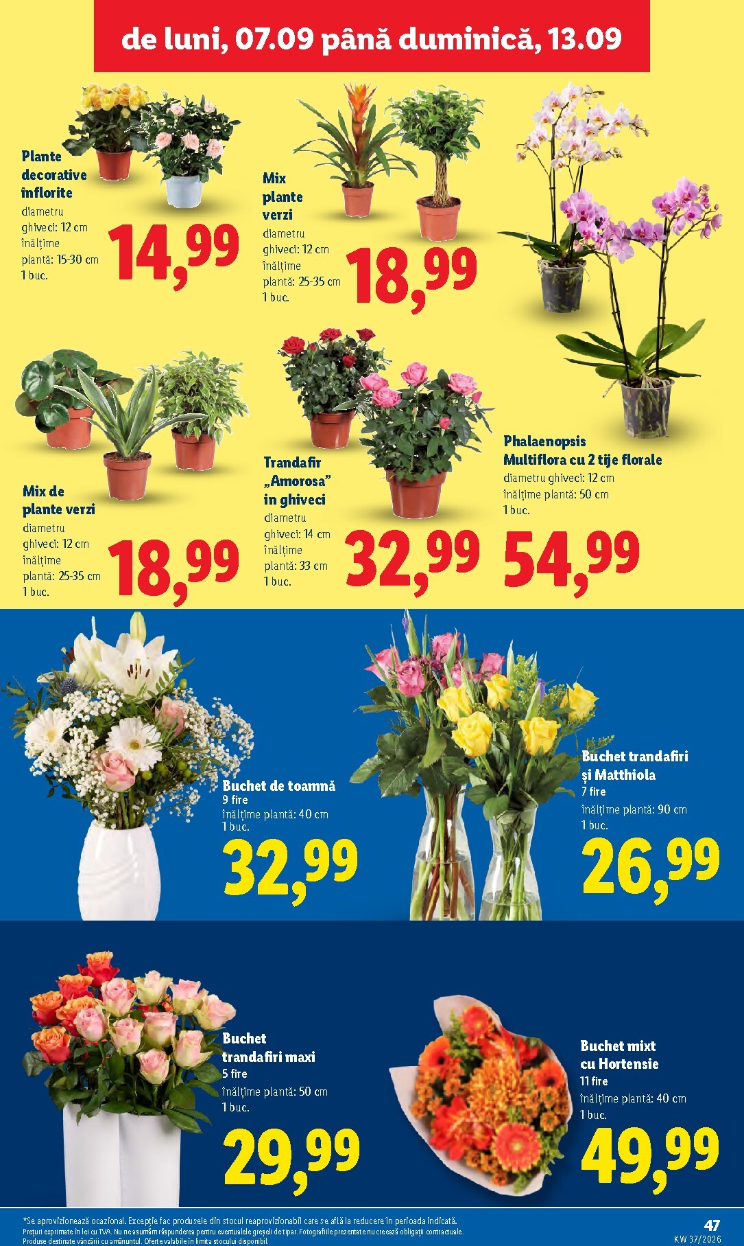 lidl - Lidl pliante pentru săptămâna viitoare de la luni 07.09.2026 până la duminică 13.09.2026 - page: 47
