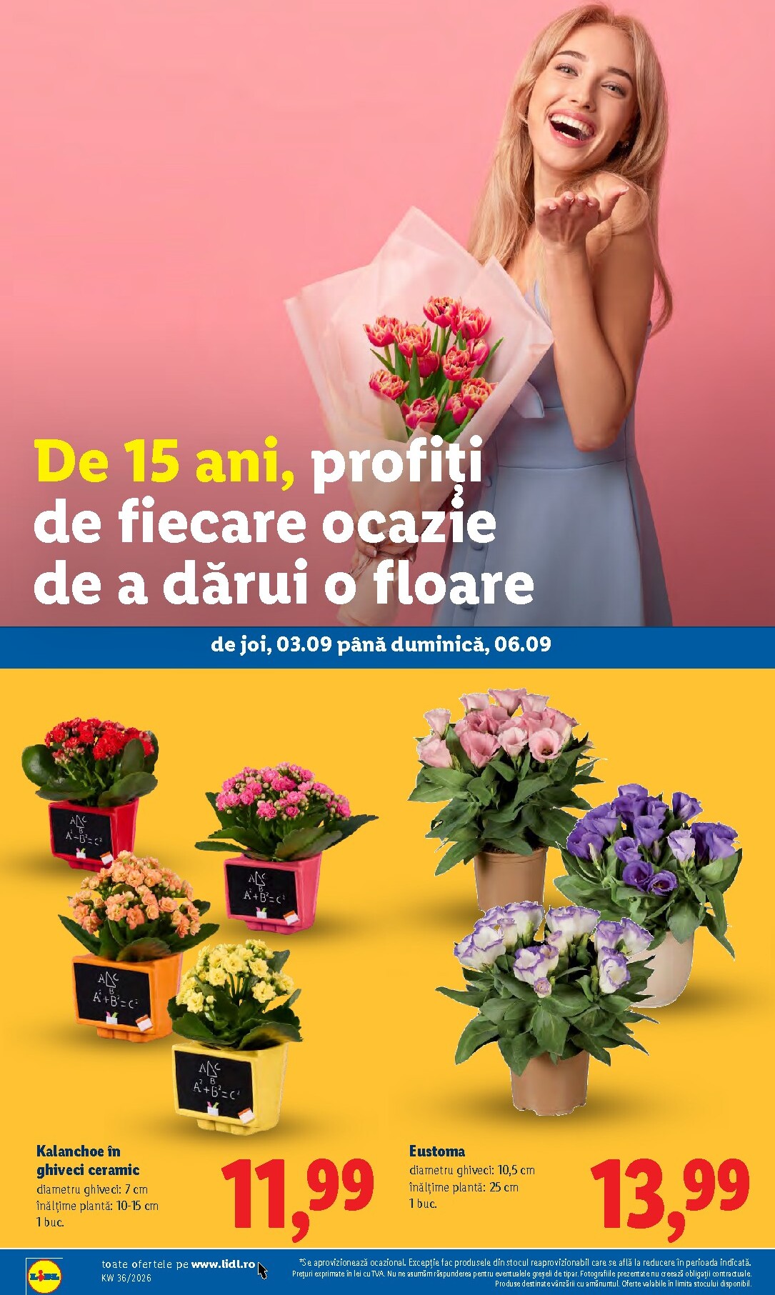 lidl - Brosura Lidl valabilă de la luni 31.08.2026 până la duminică 06.09.2026 - page: 52