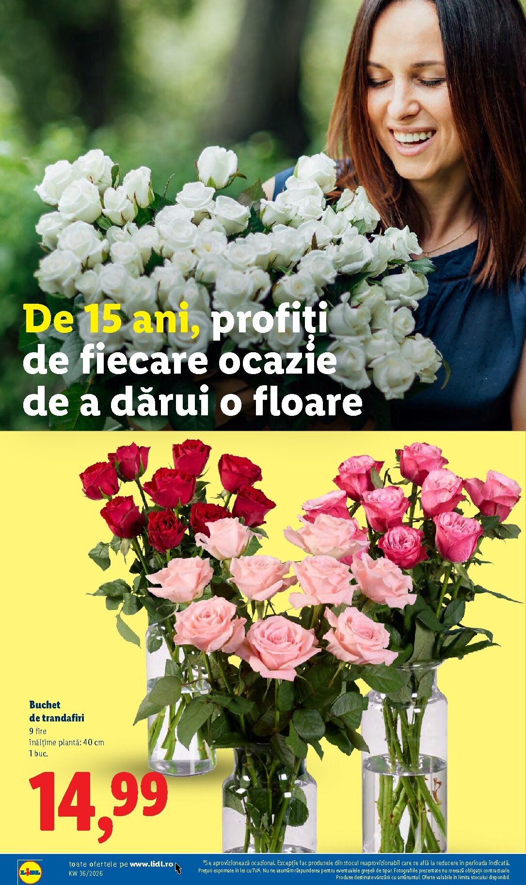 lidl - Brosura Lidl valabilă de la luni 31.08.2026 până la duminică 06.09.2026 - page: 50