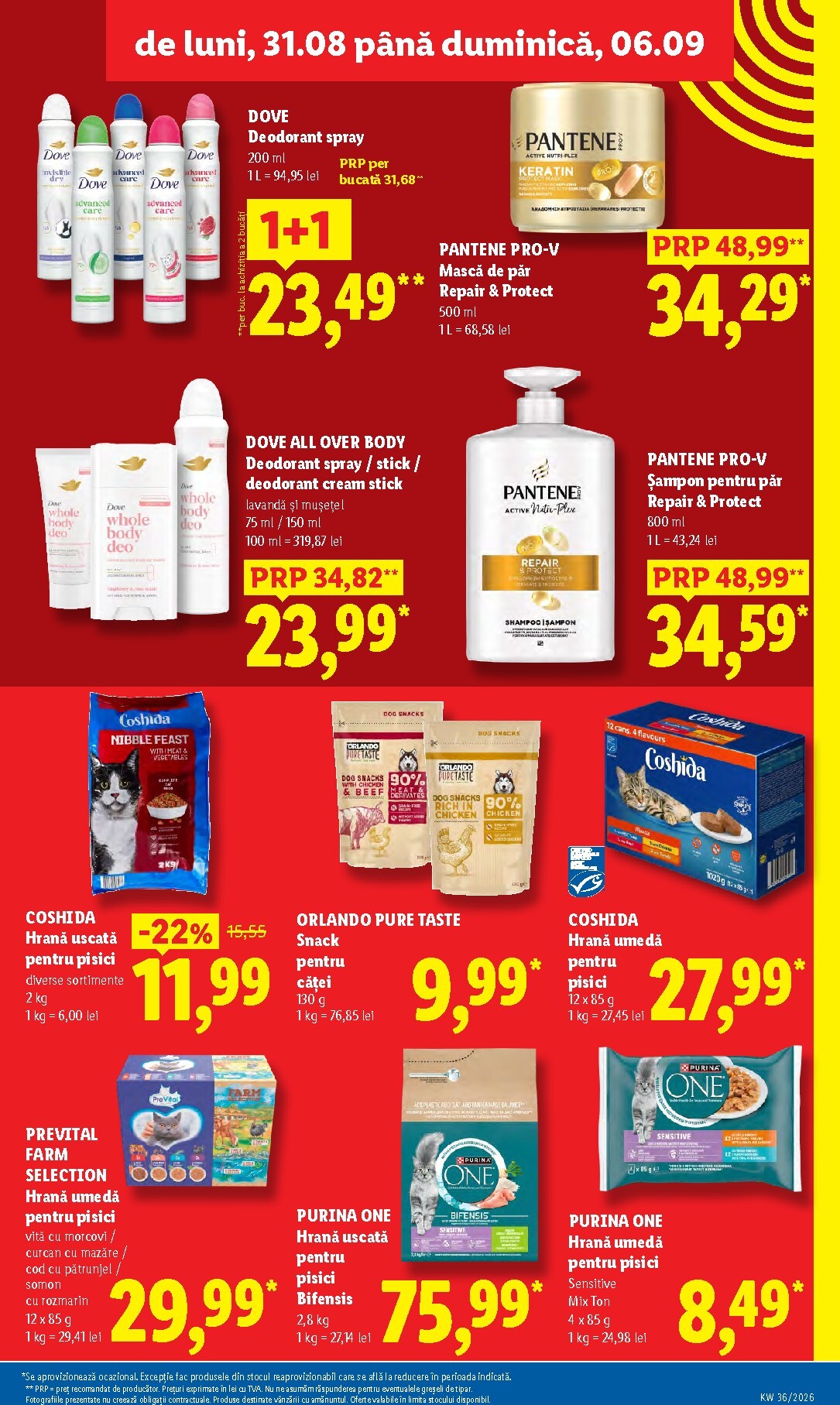 lidl - Brosura Lidl valabilă de la luni 31.08.2026 până la duminică 06.09.2026 - page: 13