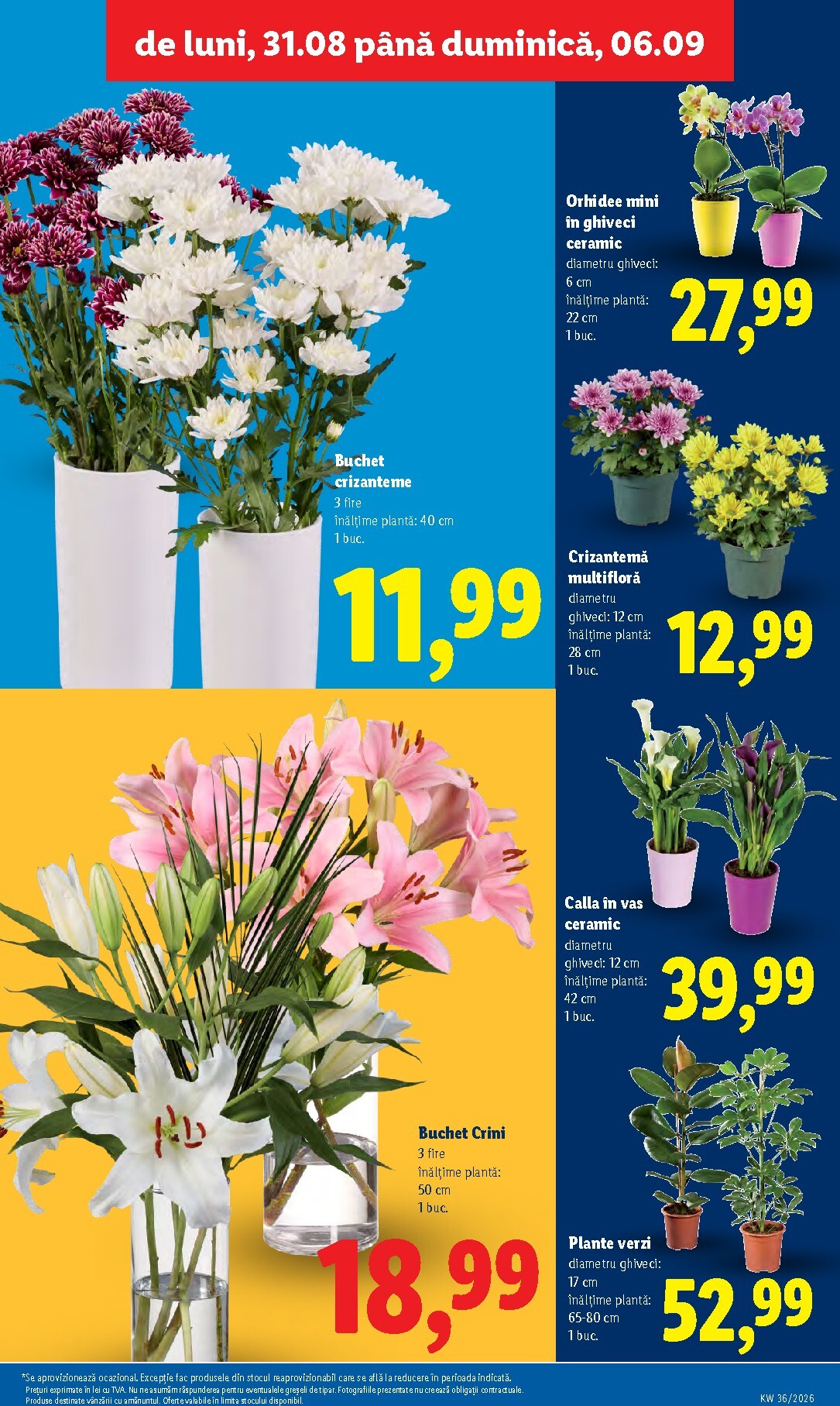 lidl - Brosura Lidl valabilă de la luni 31.08.2026 până la duminică 06.09.2026 - page: 51