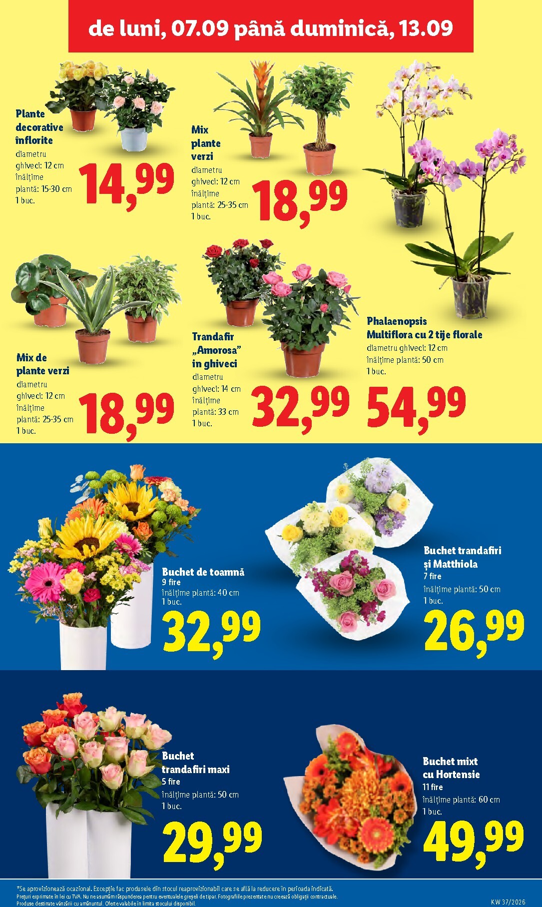 lidl - Brosura Lidl valabilă de la luni 07.09.2026 până la duminică 13.09.2026 - page: 49