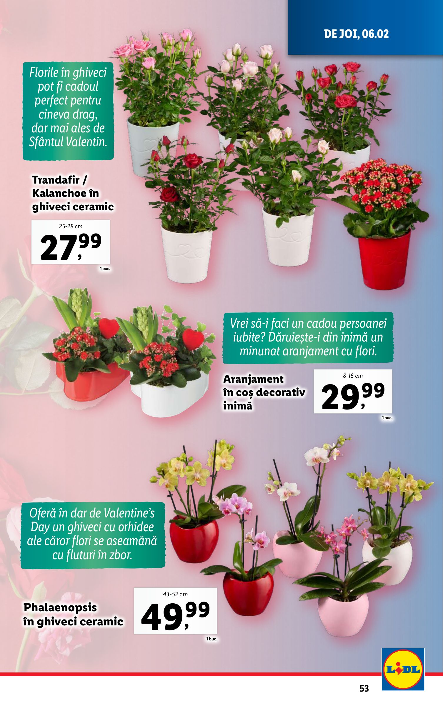 lidl - Catalog Lidl valabil din 03.02. - 09.02. - page: 53 lidl - Catalog Lidl valabil din 03.02. - 09.02. - page: 53