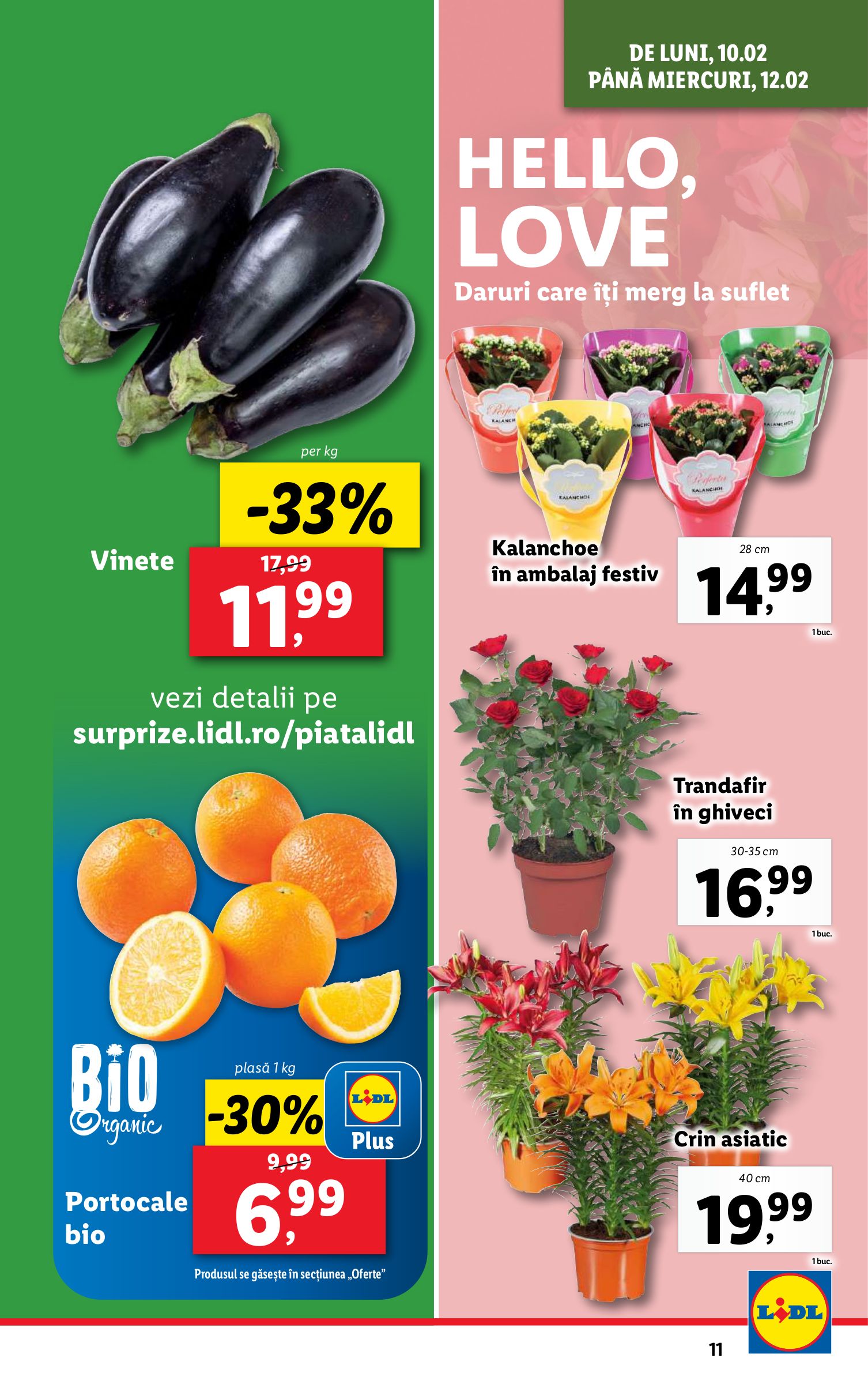 lidl - Catalog Lidl valabil din 10.02. - 16.02. - page: 11 lidl - Catalog Lidl valabil din 10.02. - 16.02. - page: 11