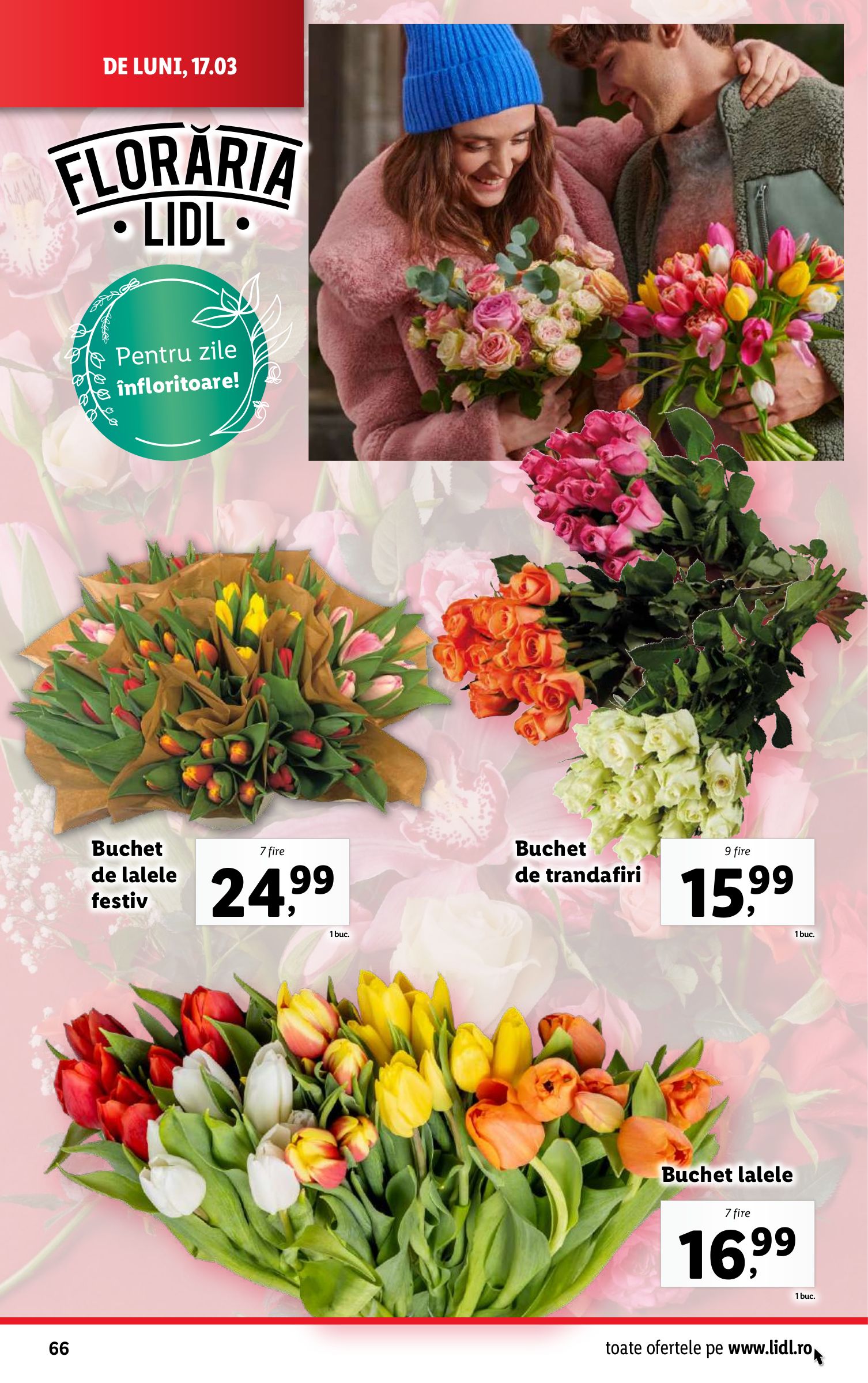 lidl - Catalog Lidl valabil din 17.03. - 23.03. - page: 66 lidl - Catalog Lidl valabil din 17.03. - 23.03. - page: 66