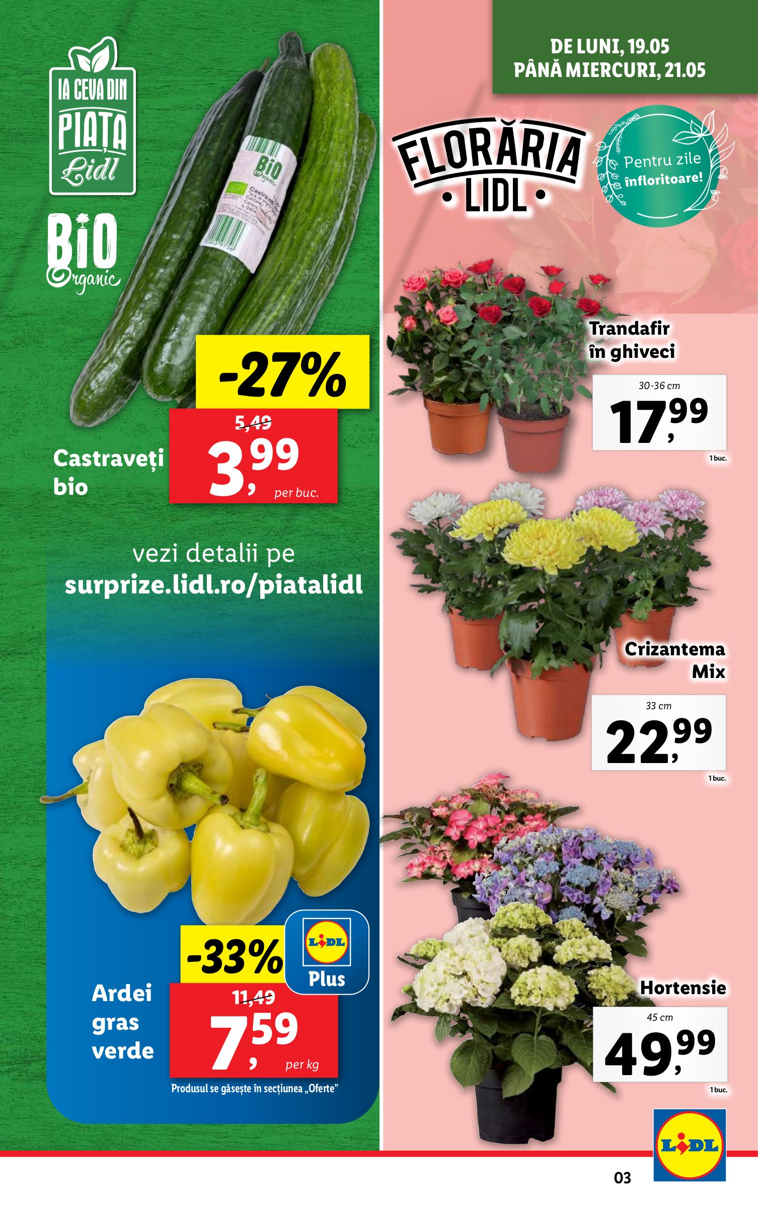 lidl - Catalog Lidl valabil din 19.05. - 25.05. - page: 3