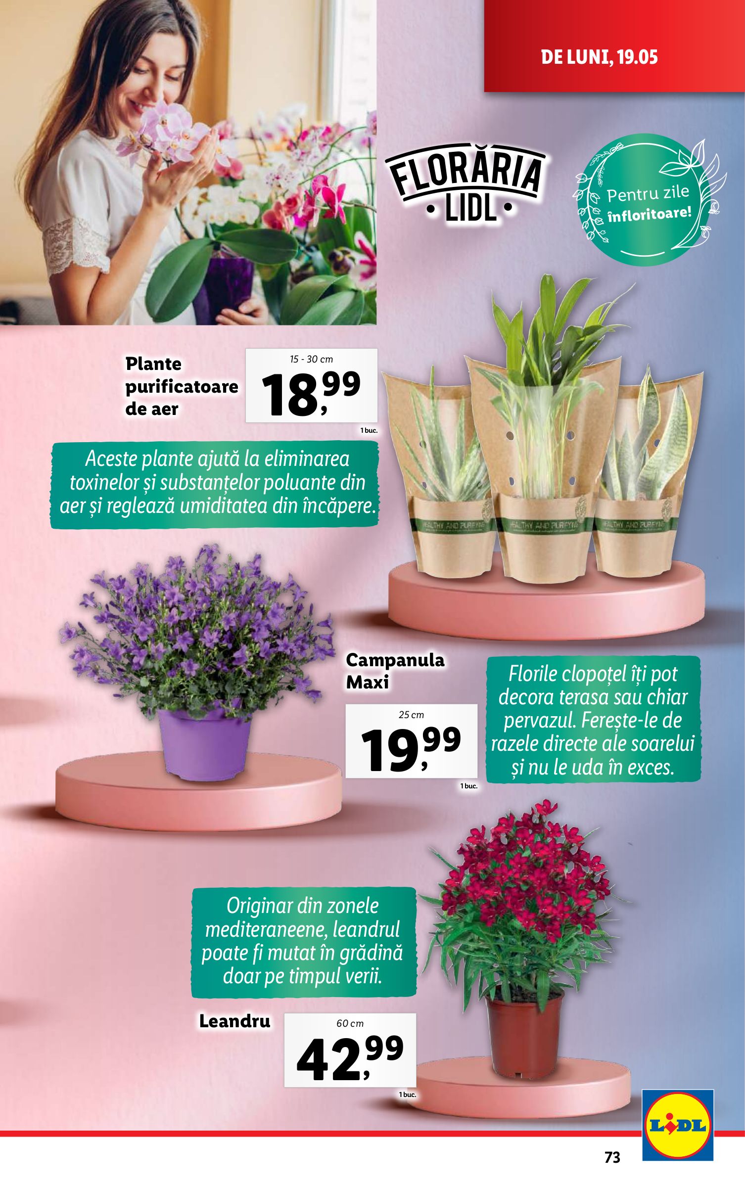 lidl - Catalog Lidl valabil din 19.05. - 25.05. - page: 73
