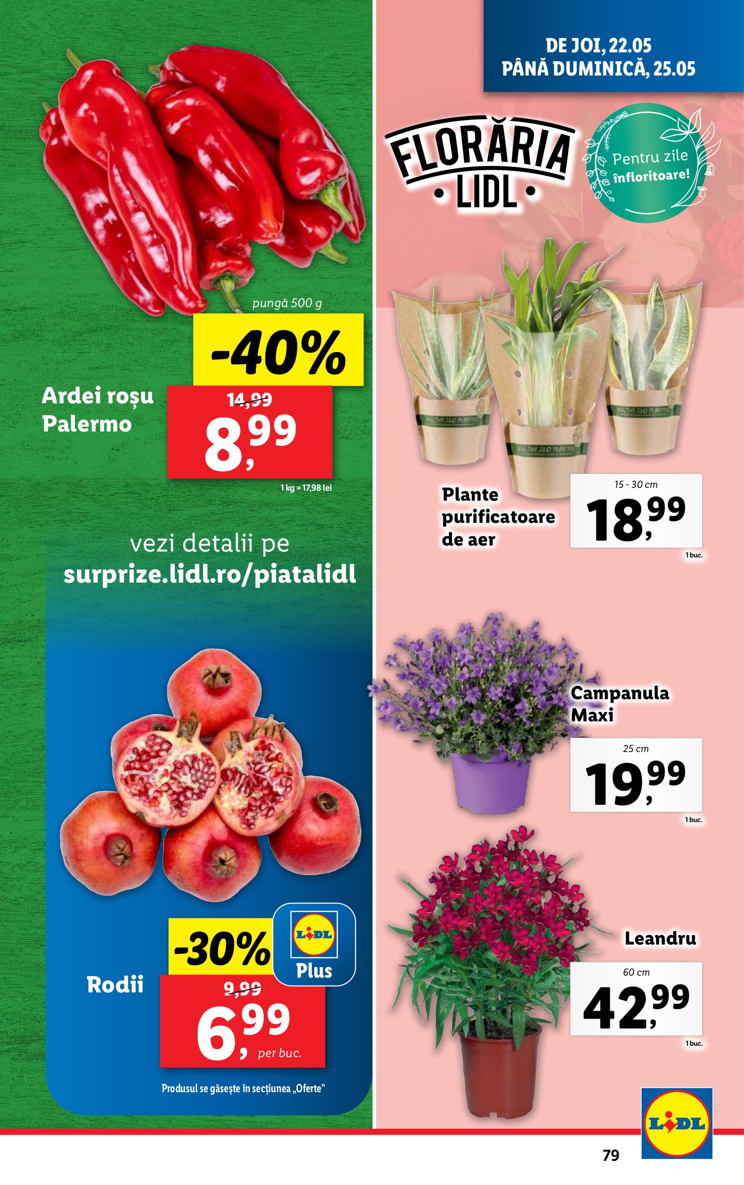 lidl - Catalog Lidl valabil din 19.05. - 25.05. - page: 79