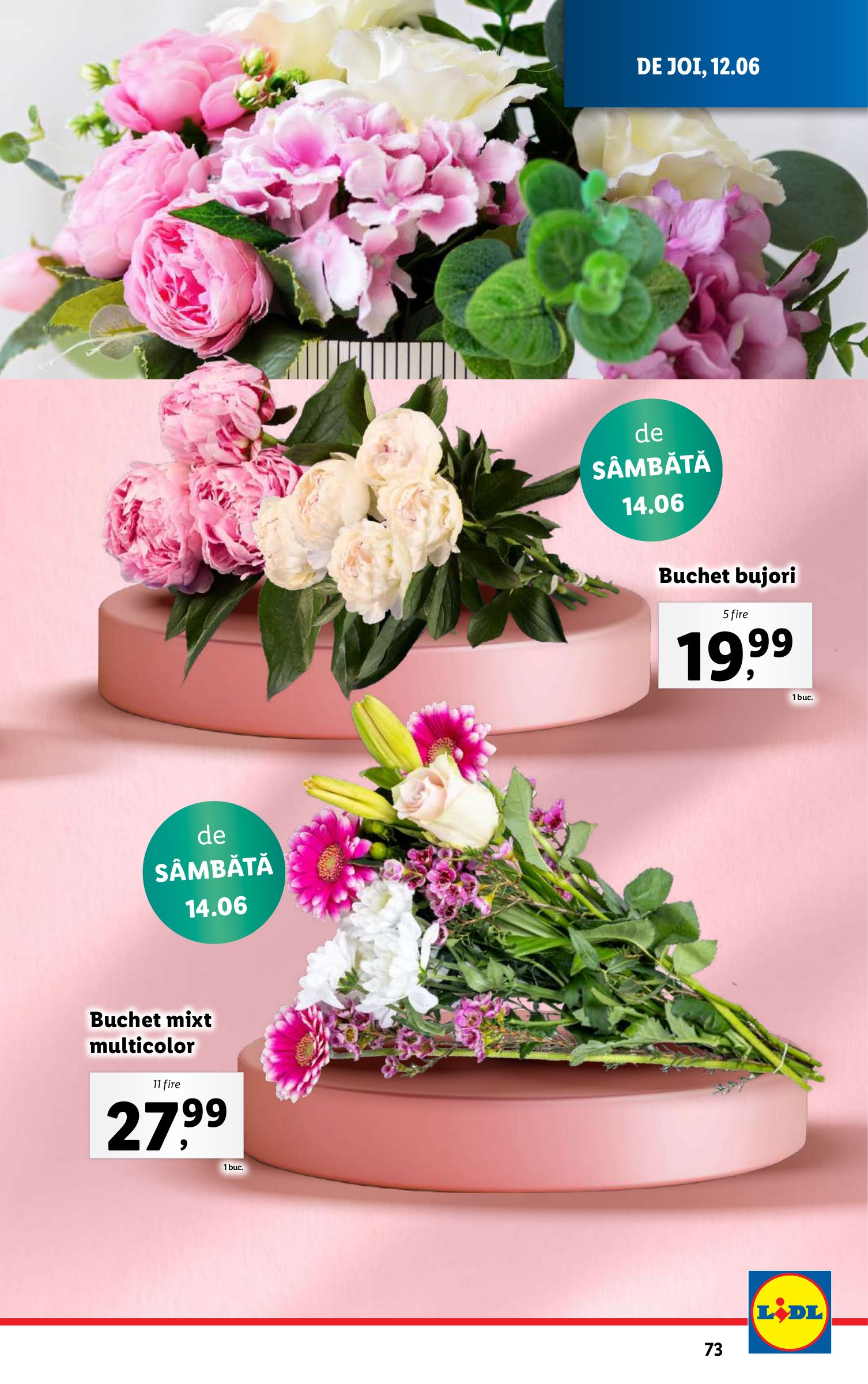 lidl - Catalog Lidl valabil din 09.06. până pe 15.06. - page: 73 lidl - Catalog Lidl valabil din 09.06. până pe 15.06. - page: 73