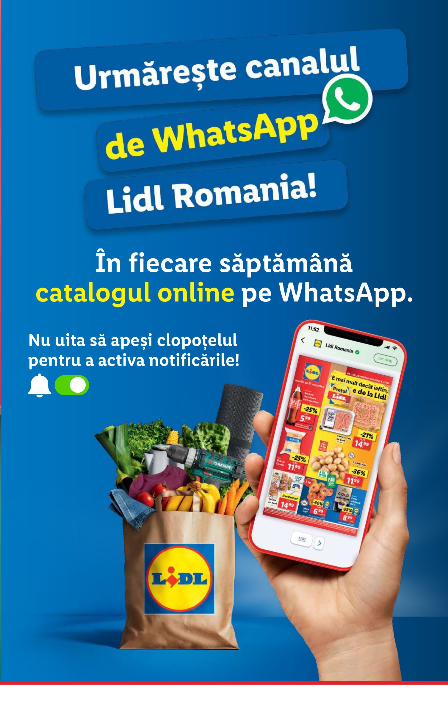 lidl - Catalog Lidl valabil din 09.06. până pe 15.06. - page: 39 lidl - Catalog Lidl valabil din 09.06. până pe 15.06. - page: 39