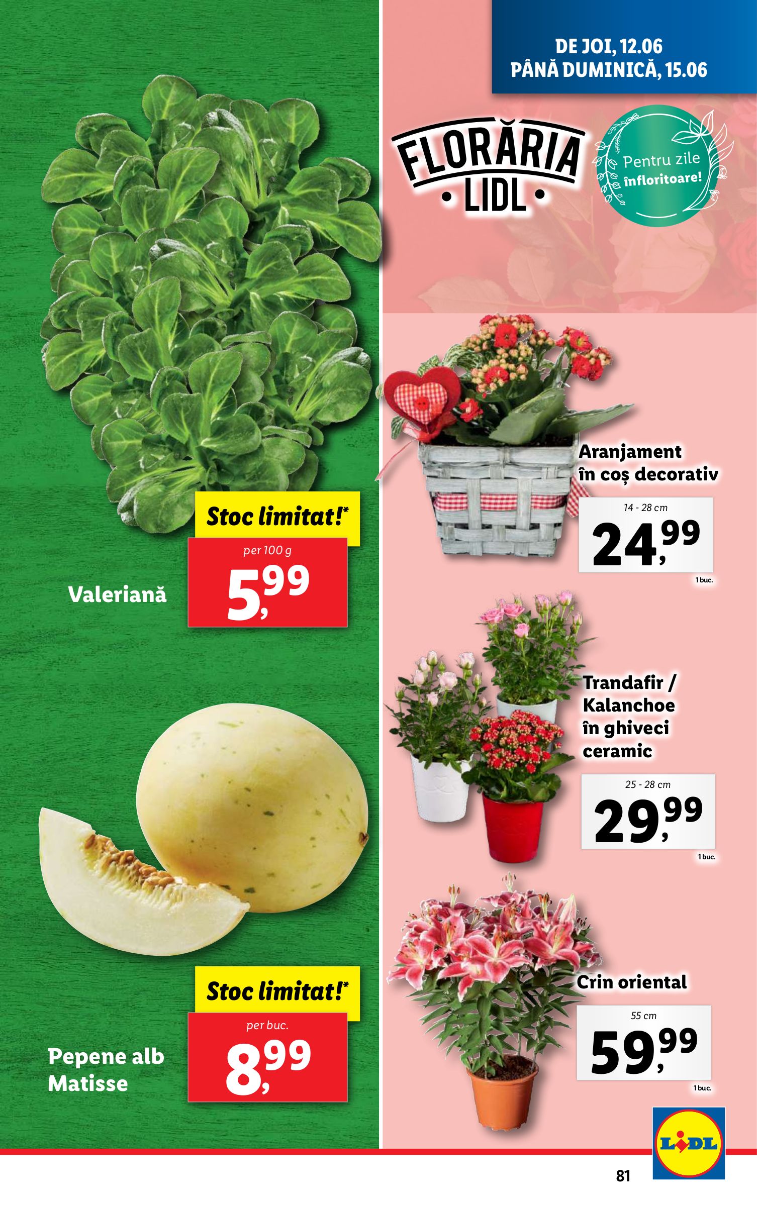 lidl - Catalog Lidl valabil din 09.06. până pe 15.06. - page: 81 lidl - Catalog Lidl valabil din 09.06. până pe 15.06. - page: 81