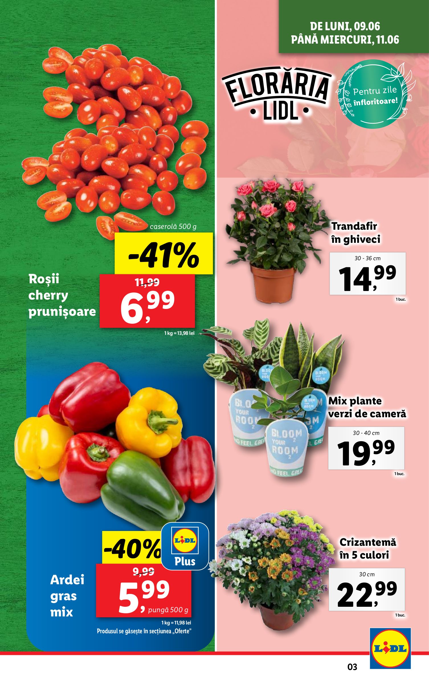 lidl - Catalog Lidl valabil din 09.06. până pe 15.06. - page: 3 lidl - Catalog Lidl valabil din 09.06. până pe 15.06. - page: 3