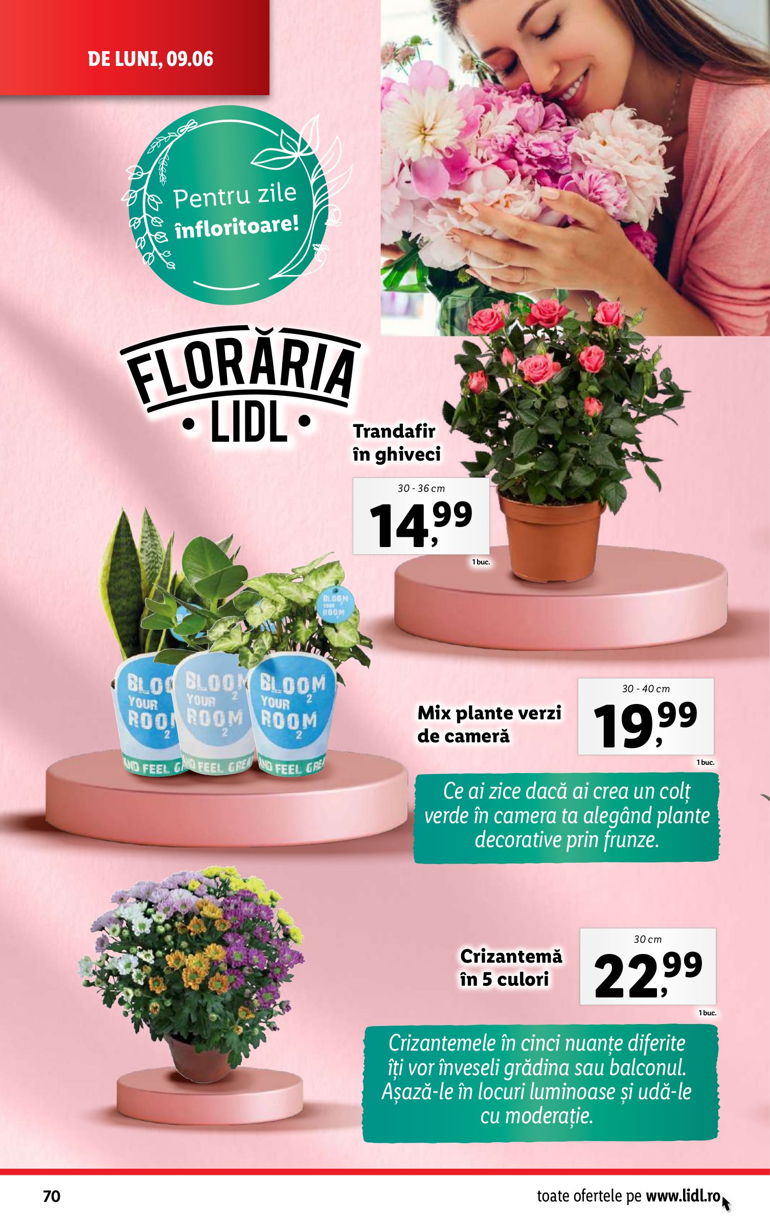 lidl - Catalog Lidl valabil din 09.06. până pe 15.06. - page: 70 lidl - Catalog Lidl valabil din 09.06. până pe 15.06. - page: 70