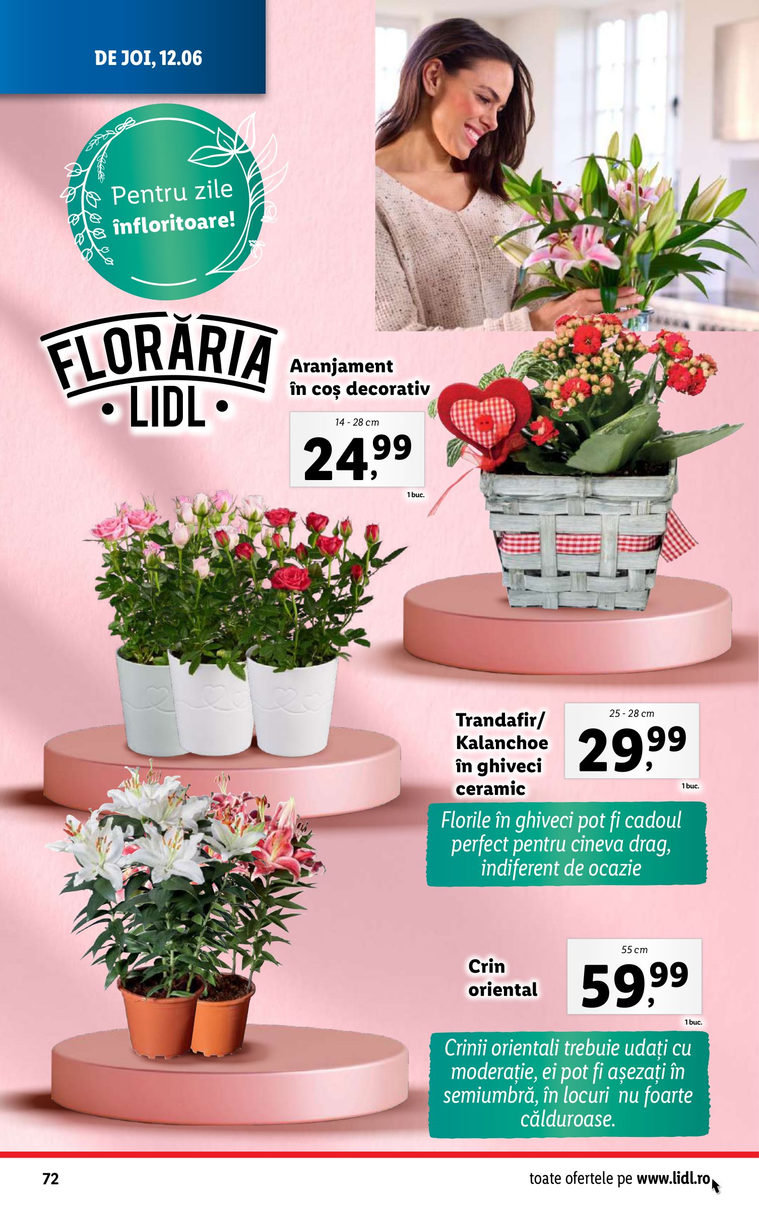 lidl - Catalog Lidl valabil din 09.06. până pe 15.06. - page: 72 lidl - Catalog Lidl valabil din 09.06. până pe 15.06. - page: 72