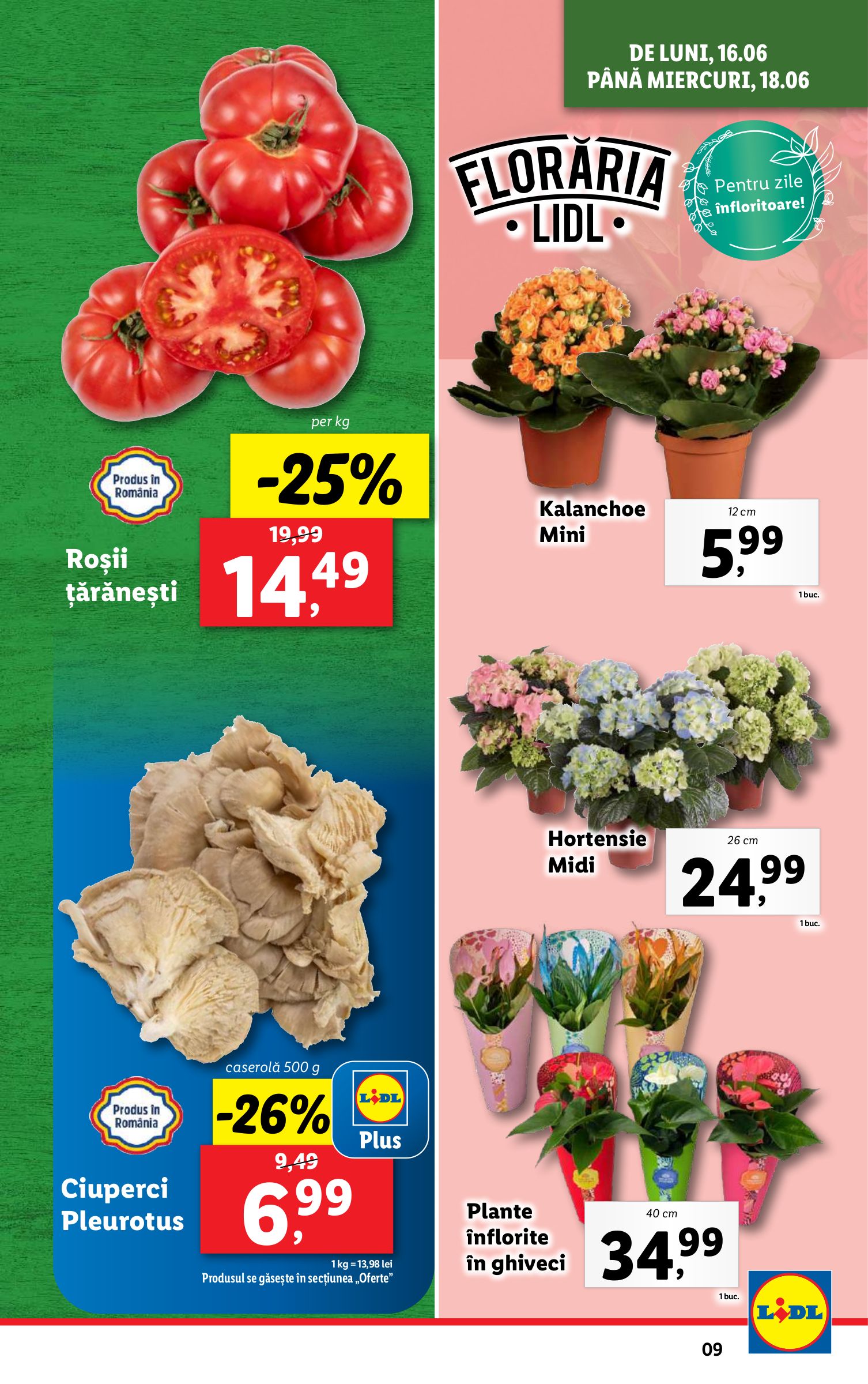 lidl - Catalog Lidl valabil din 16.06. până pe 22.06. - page: 9