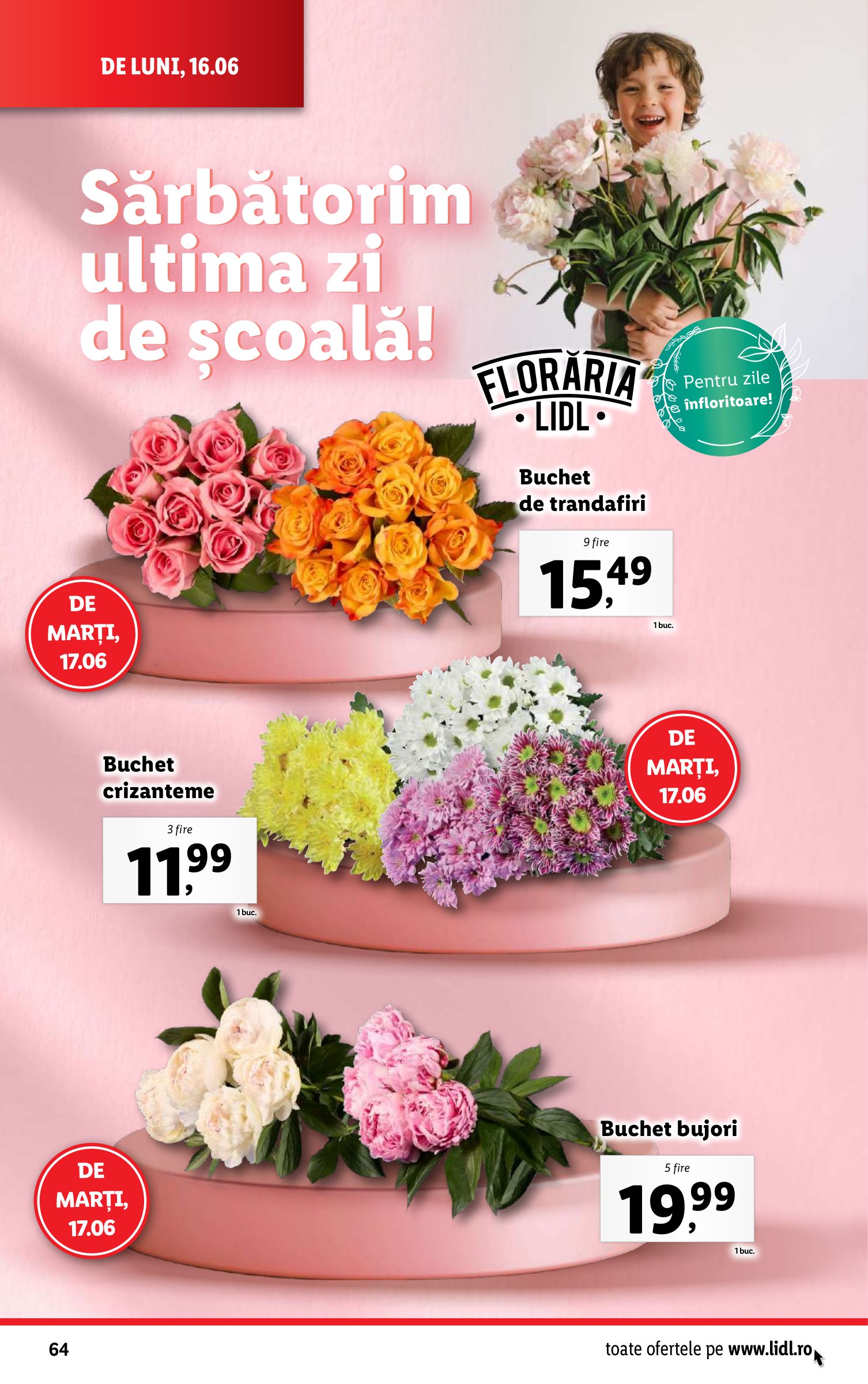 lidl - Catalog Lidl valabil din 16.06. până pe 22.06. - page: 64