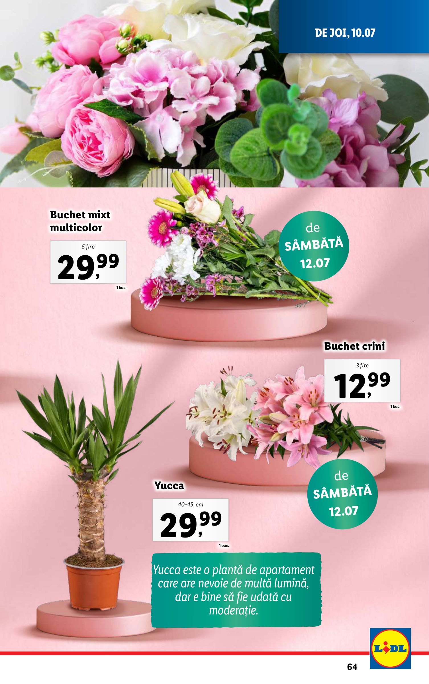 lidl - Catalog Lidl valabil din 07.07. până pe 13.07. - page: 65 lidl - Catalog Lidl valabil din 07.07. până pe 13.07. - page: 65