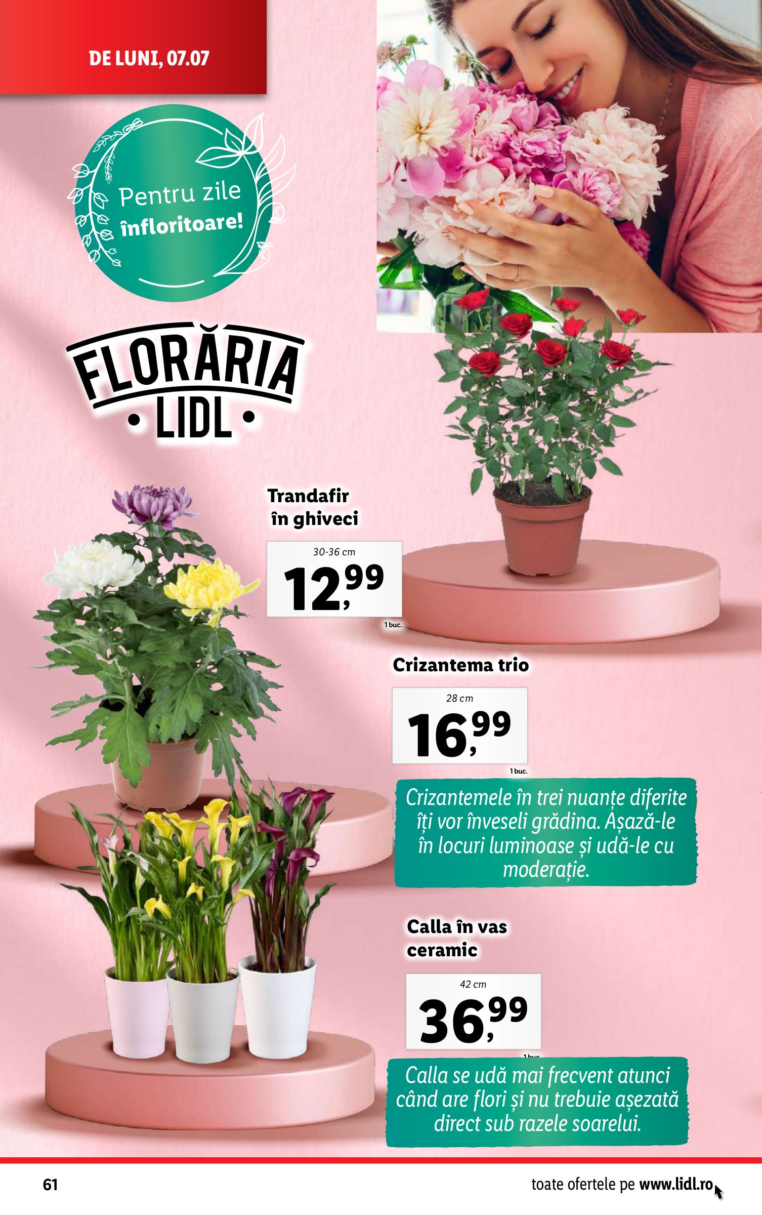 lidl - Catalog Lidl valabil din 07.07. până pe 13.07. - page: 62 lidl - Catalog Lidl valabil din 07.07. până pe 13.07. - page: 62