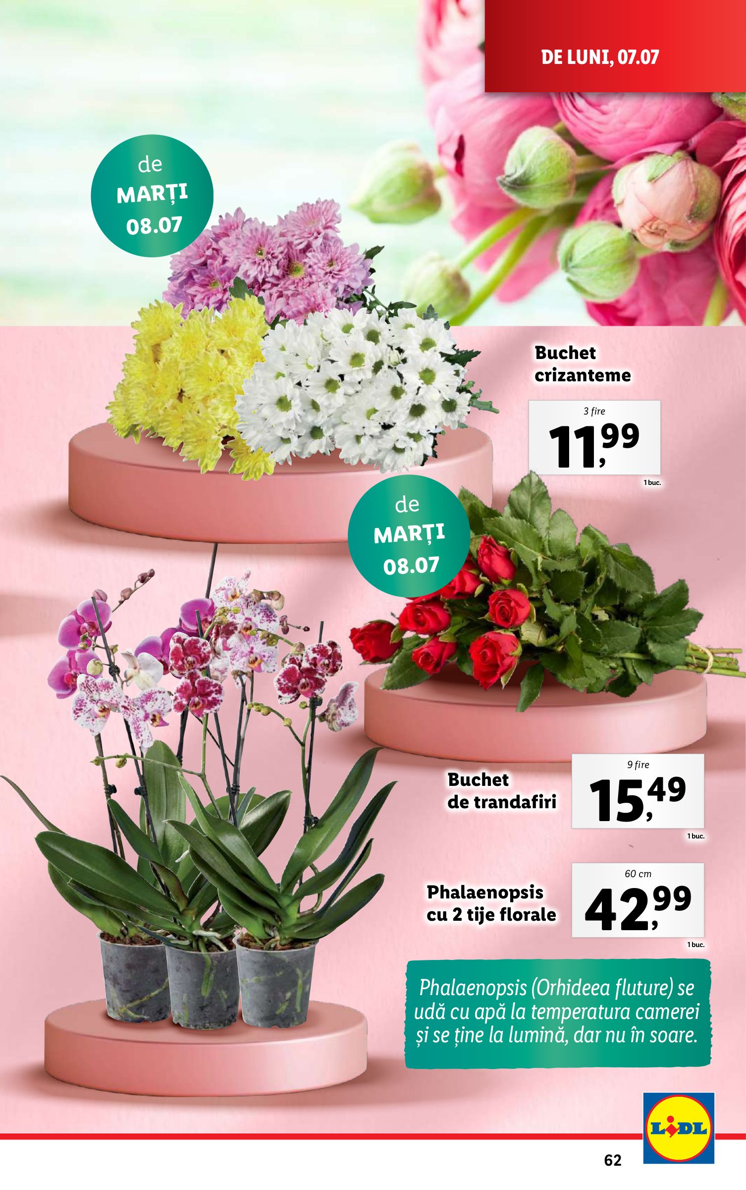 lidl - Catalog Lidl valabil din 07.07. până pe 13.07. - page: 63 lidl - Catalog Lidl valabil din 07.07. până pe 13.07. - page: 63