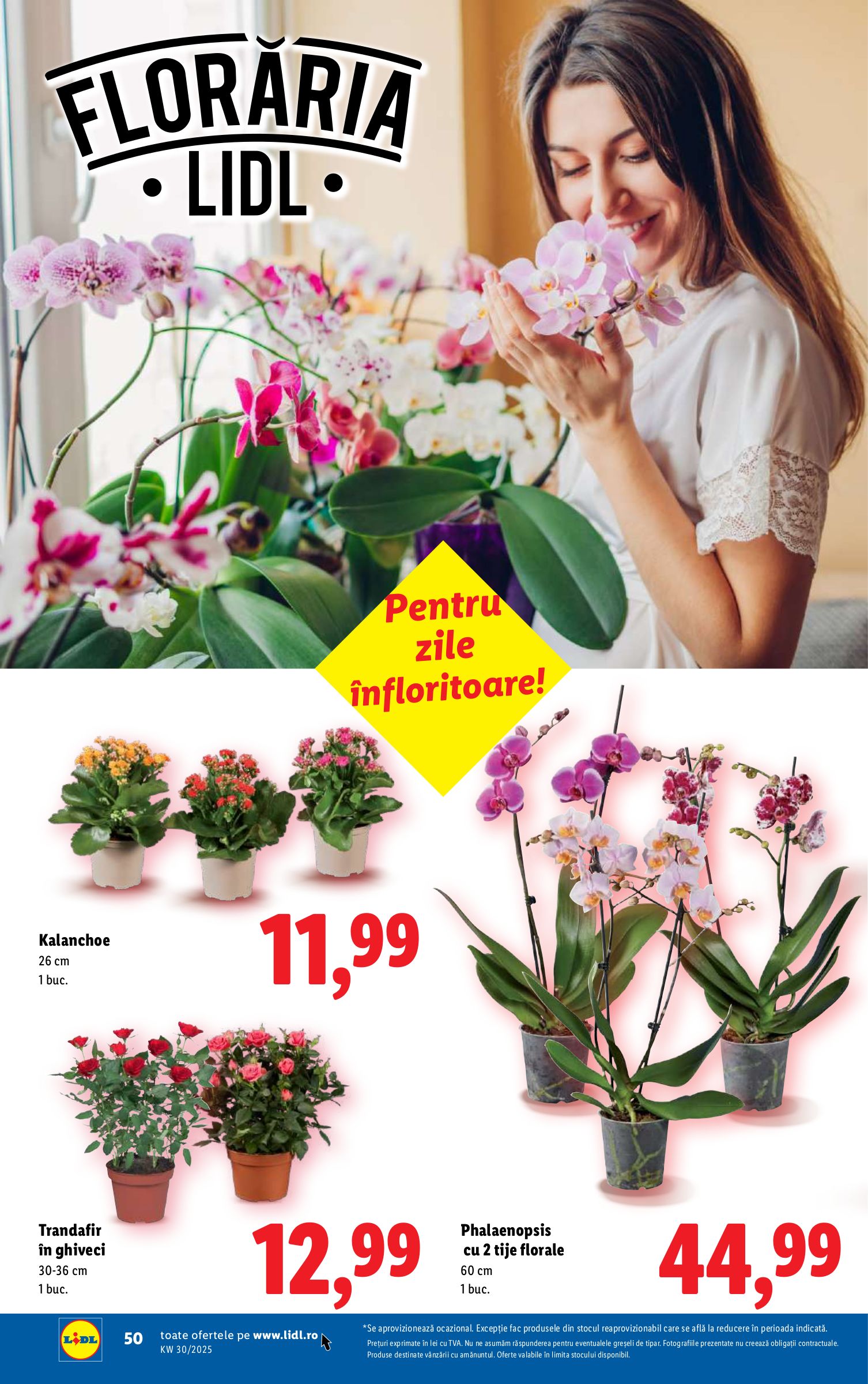 lidl - Catalog Lidl valabil din 21.07. până pe 27.07. - page: 50 lidl - Catalog Lidl valabil din 21.07. până pe 27.07. - page: 50