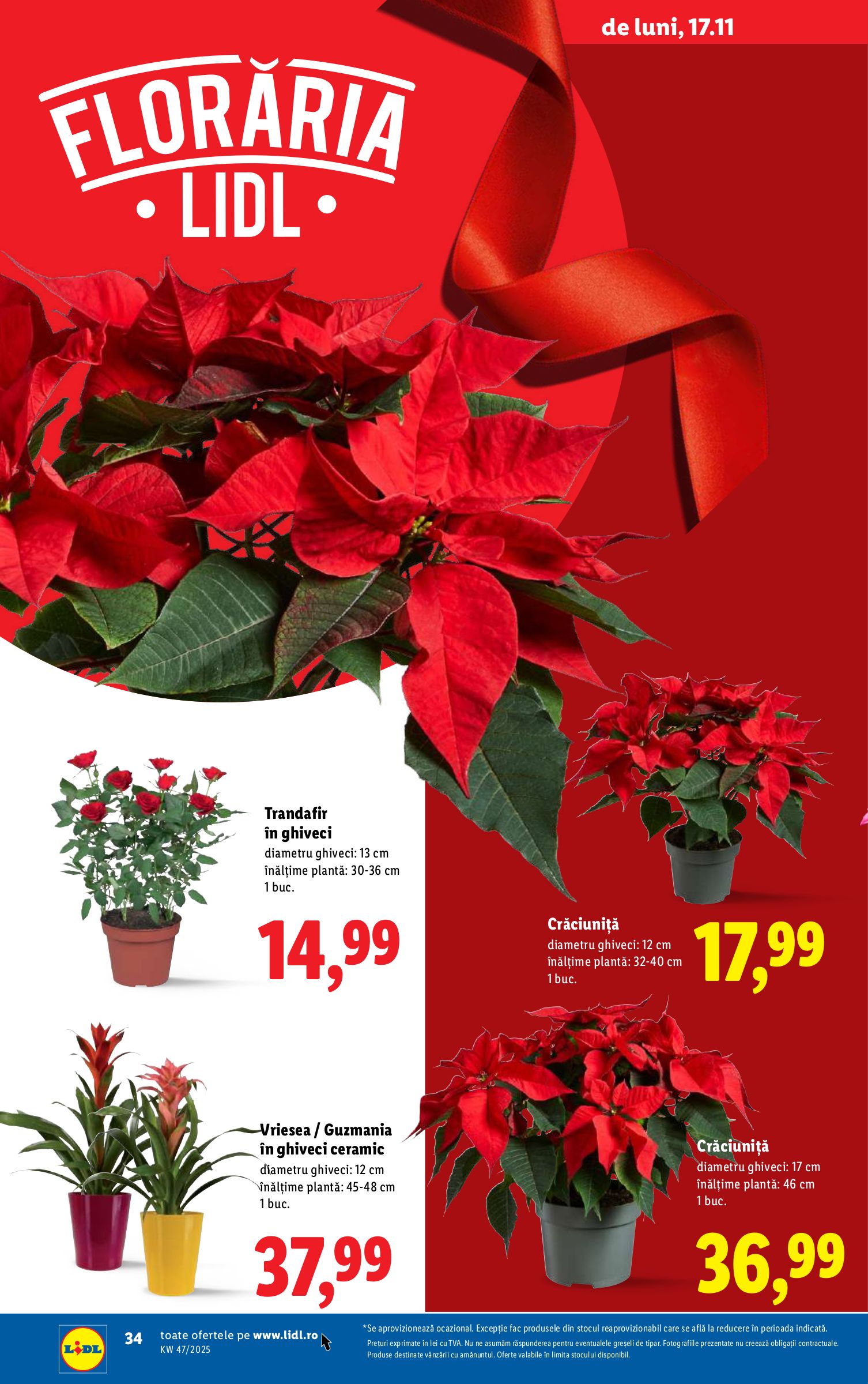 lidl - Catalog Lidl online – oferte valabile din 17.11. - page: 34